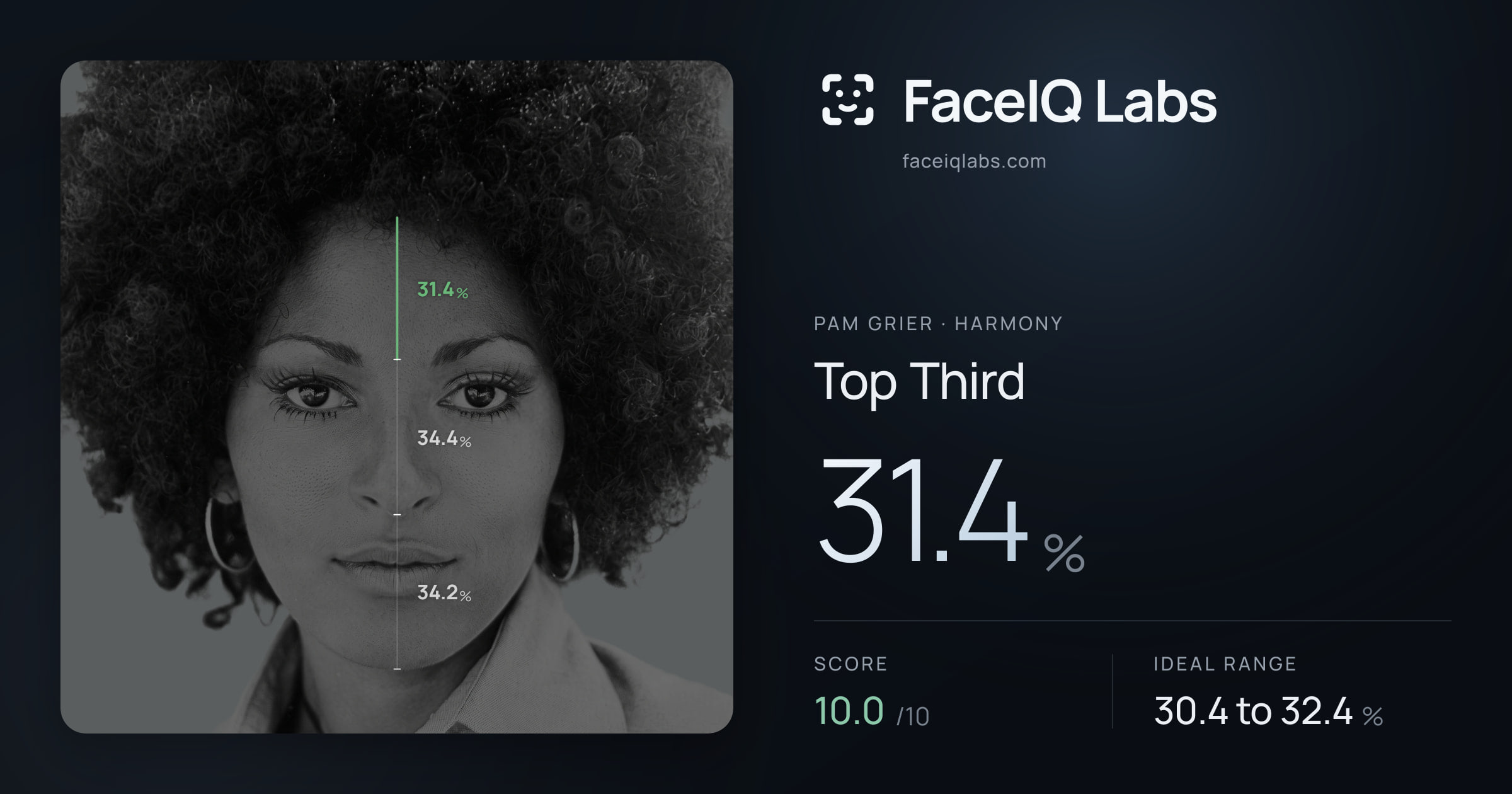 Pam Grier Top Third: 31.4%, drawn on the photo
