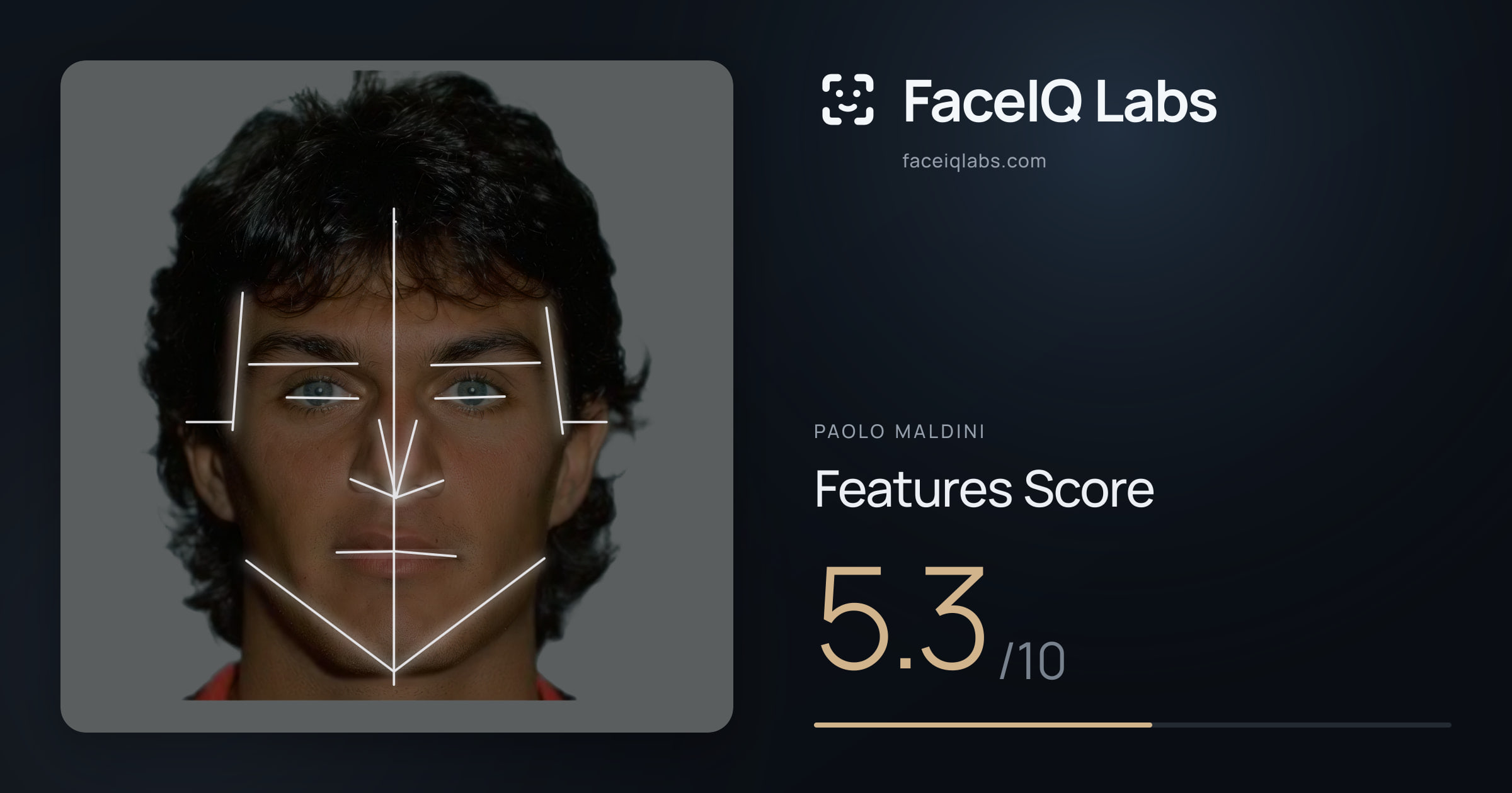 Paolo Maldini Features: 5.3/10, with each assessment drawn on the photo