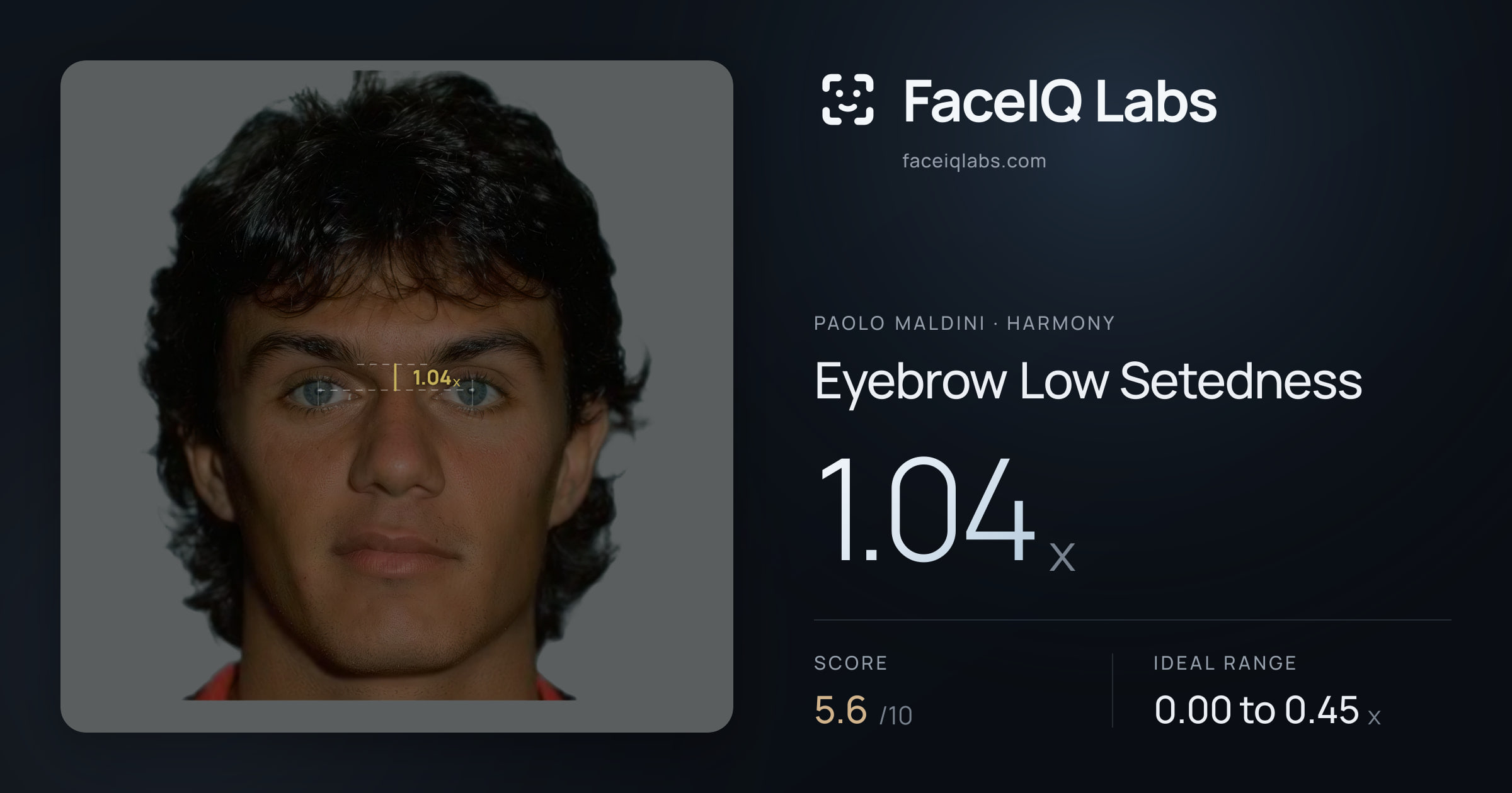 Paolo Maldini Eyebrow Low Setedness: 1.04x, drawn on the photo