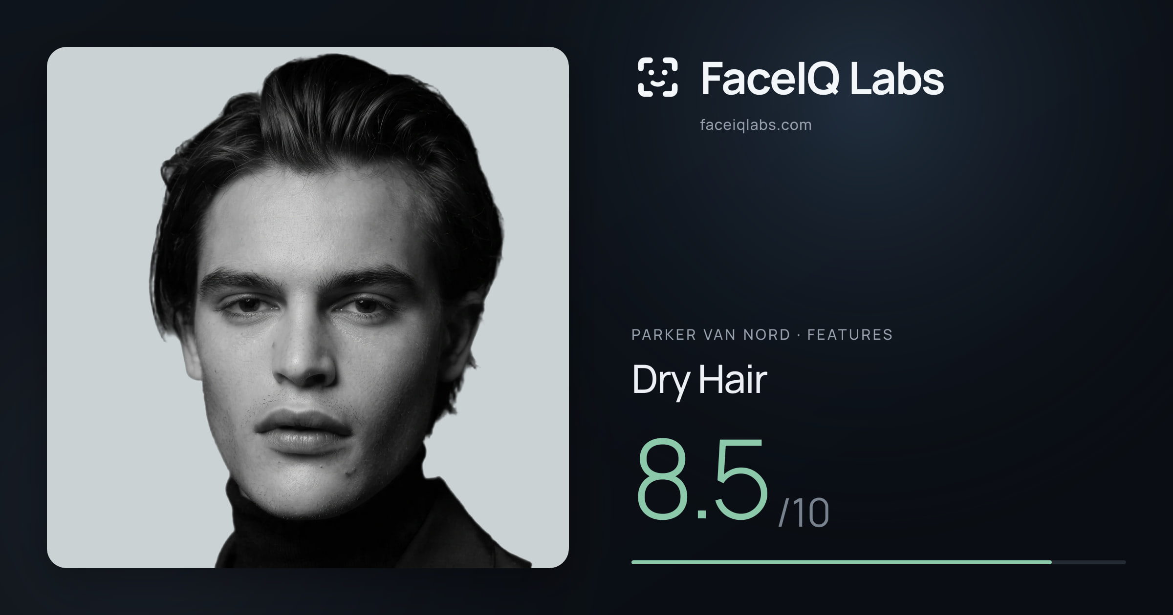 Parker Van Nord Dry Hair: 8.5/10, drawn on the photo