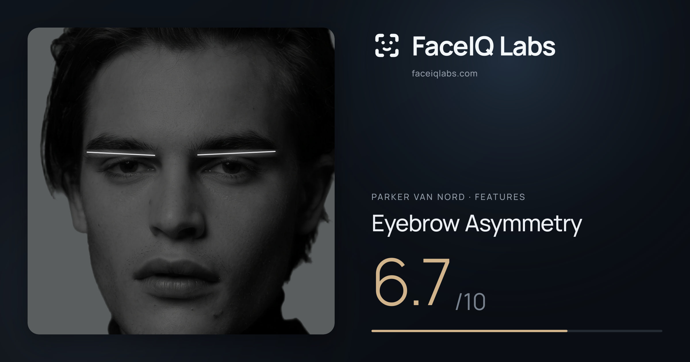 Parker Van Nord Eyebrow Asymmetry: 6.7/10, drawn on the photo