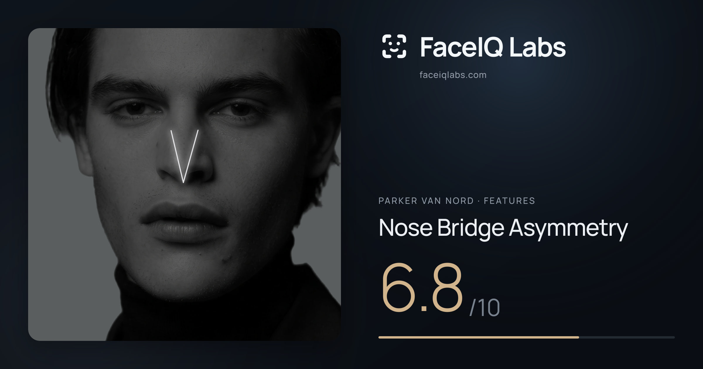 Parker Van Nord Nose Bridge Asymmetry: 6.8/10, drawn on the photo
