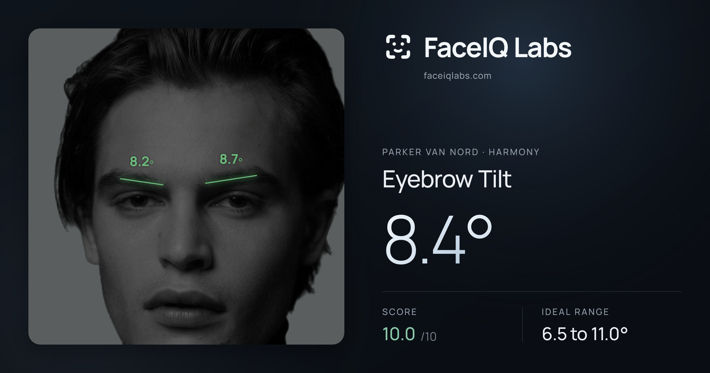 Parker Van Nord Eyebrow Tilt: 8.4°, drawn on the photo