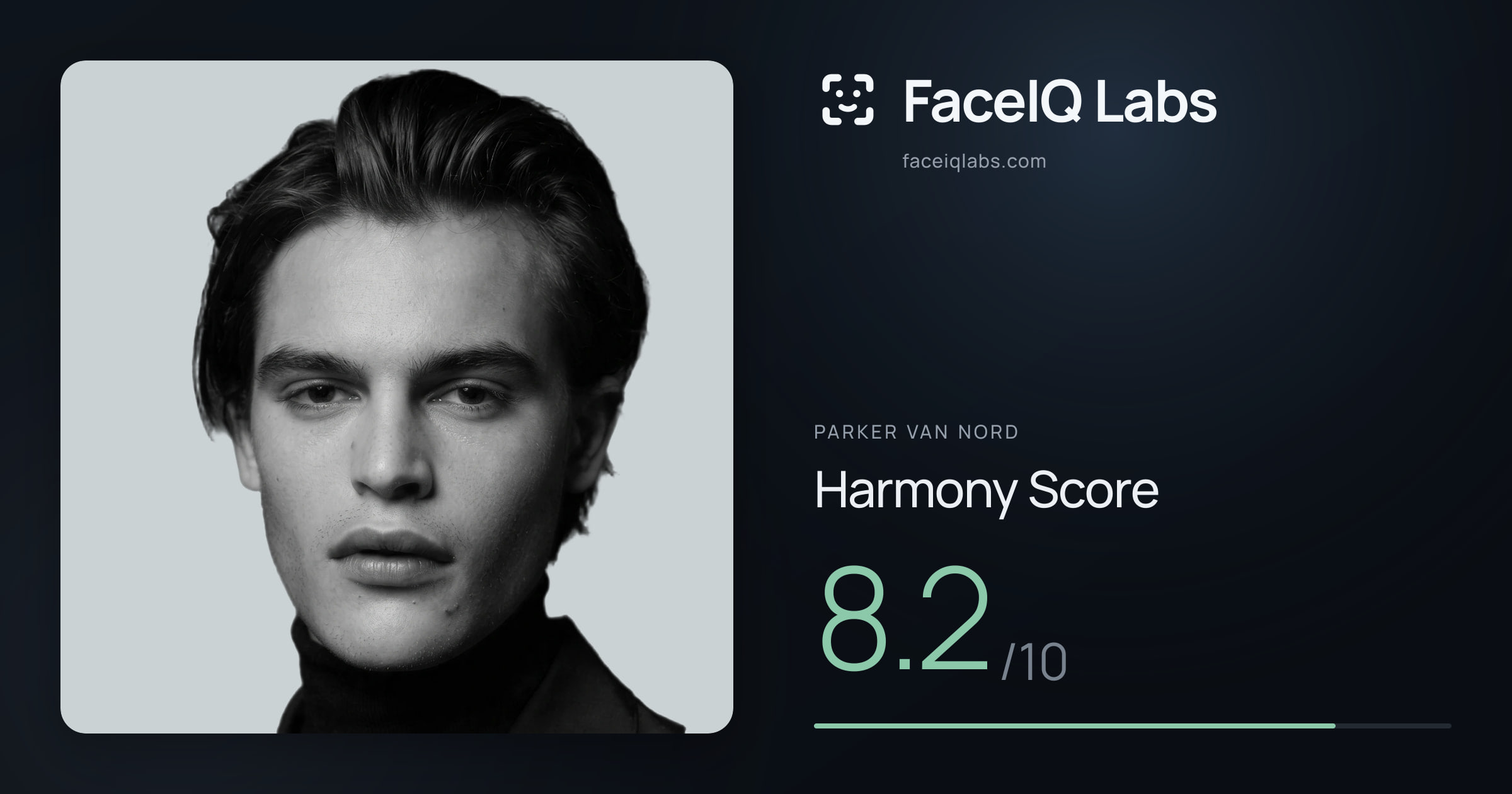 Parker Van Nord Harmony: 8.2/10, with each ratio's score