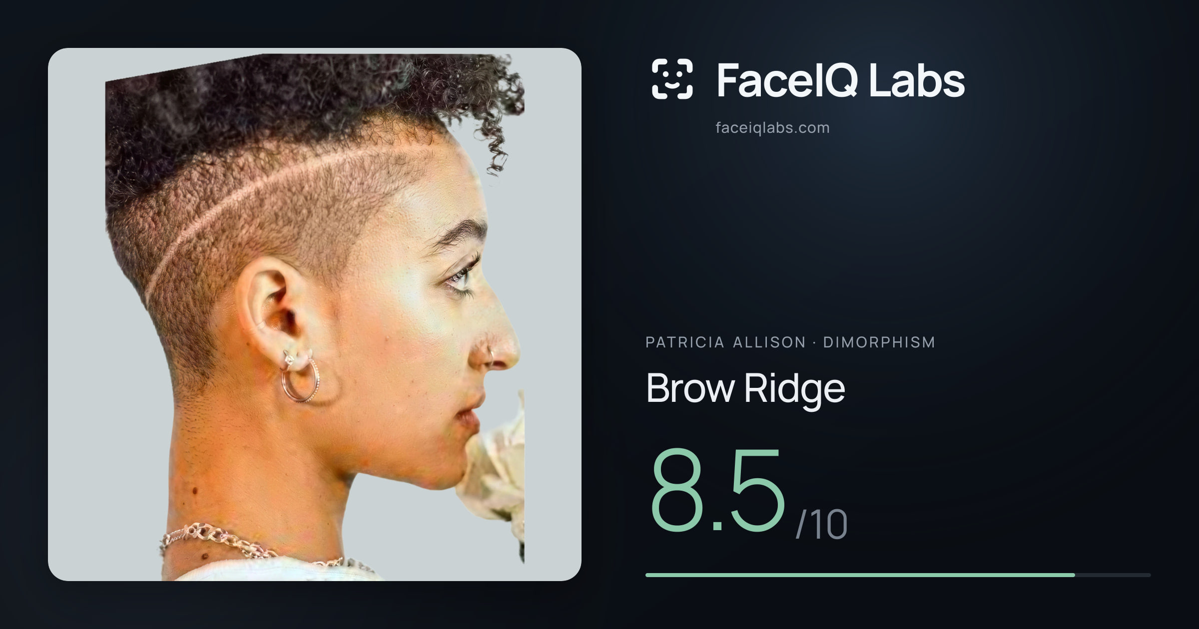Patricia Allison Brow Ridge: 8.5/10, drawn on the photo