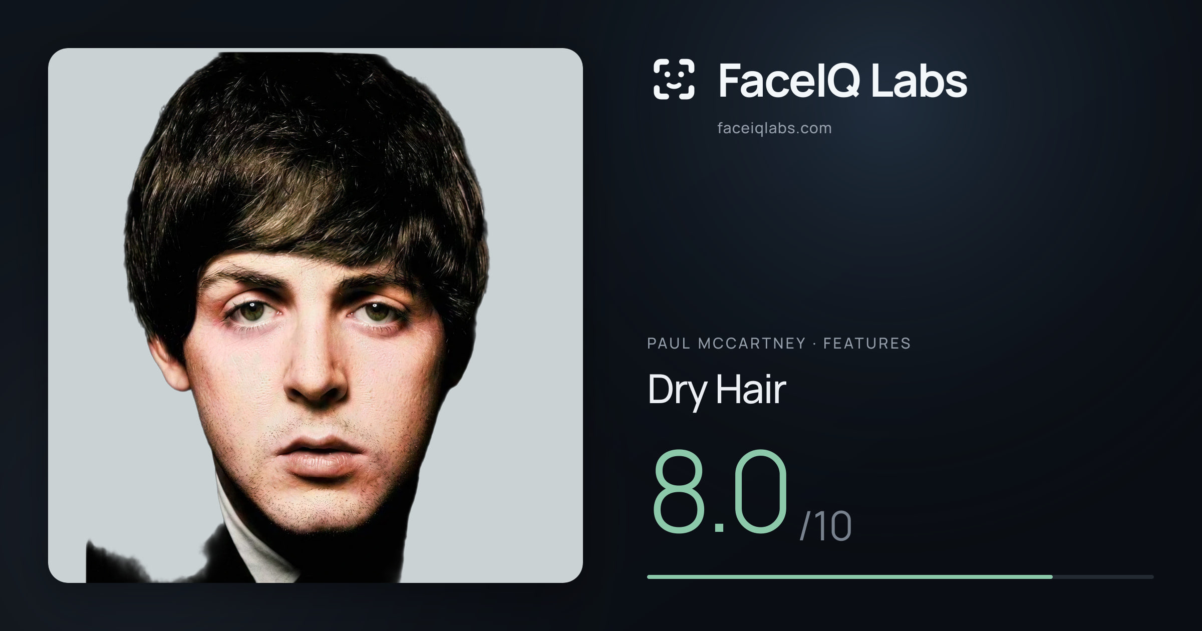Paul McCartney Dry Hair: 8.0/10, drawn on the photo