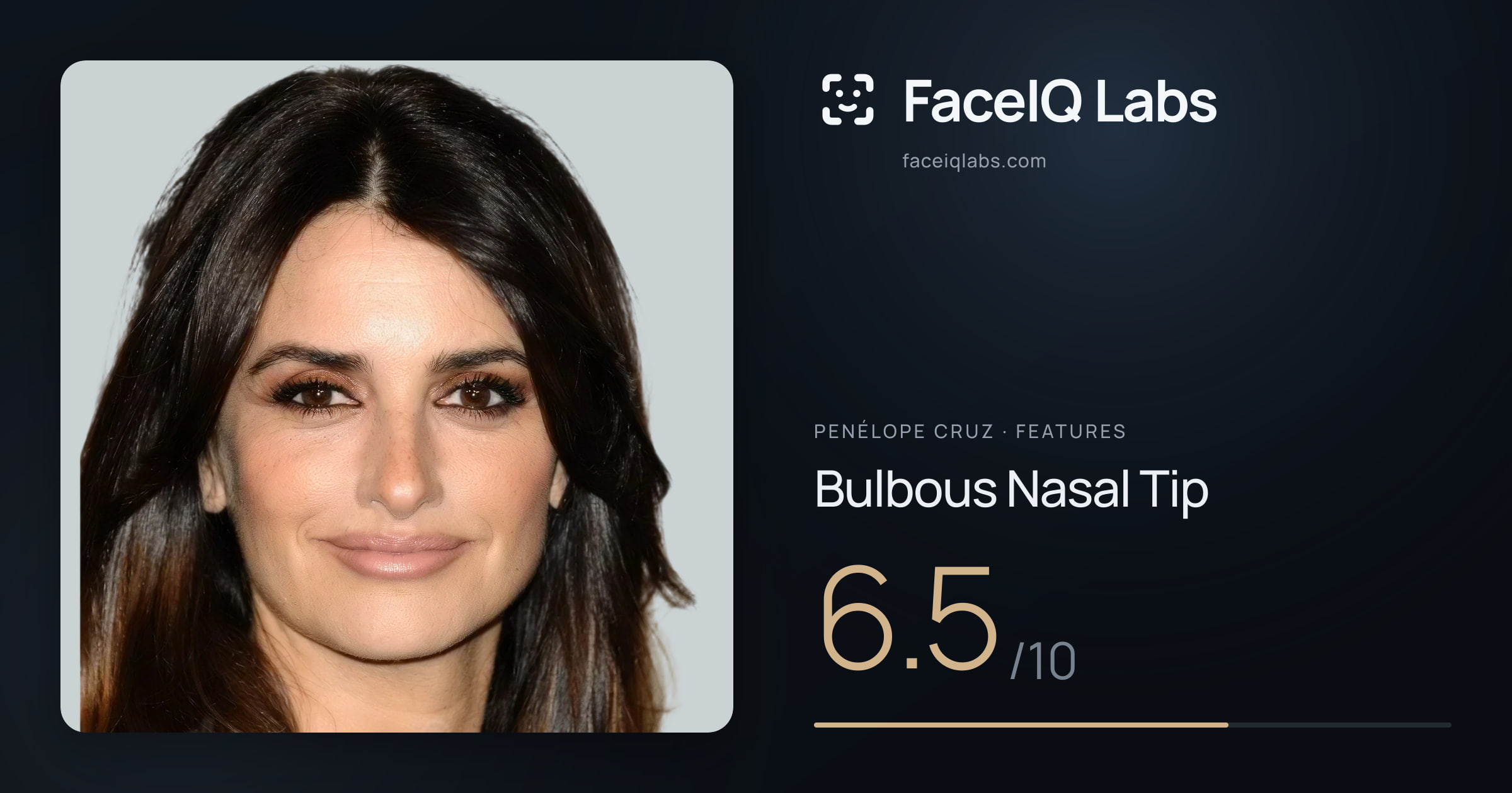 penélope cruz Bulbous Nasal Tip: 6.5/10, drawn on the photo