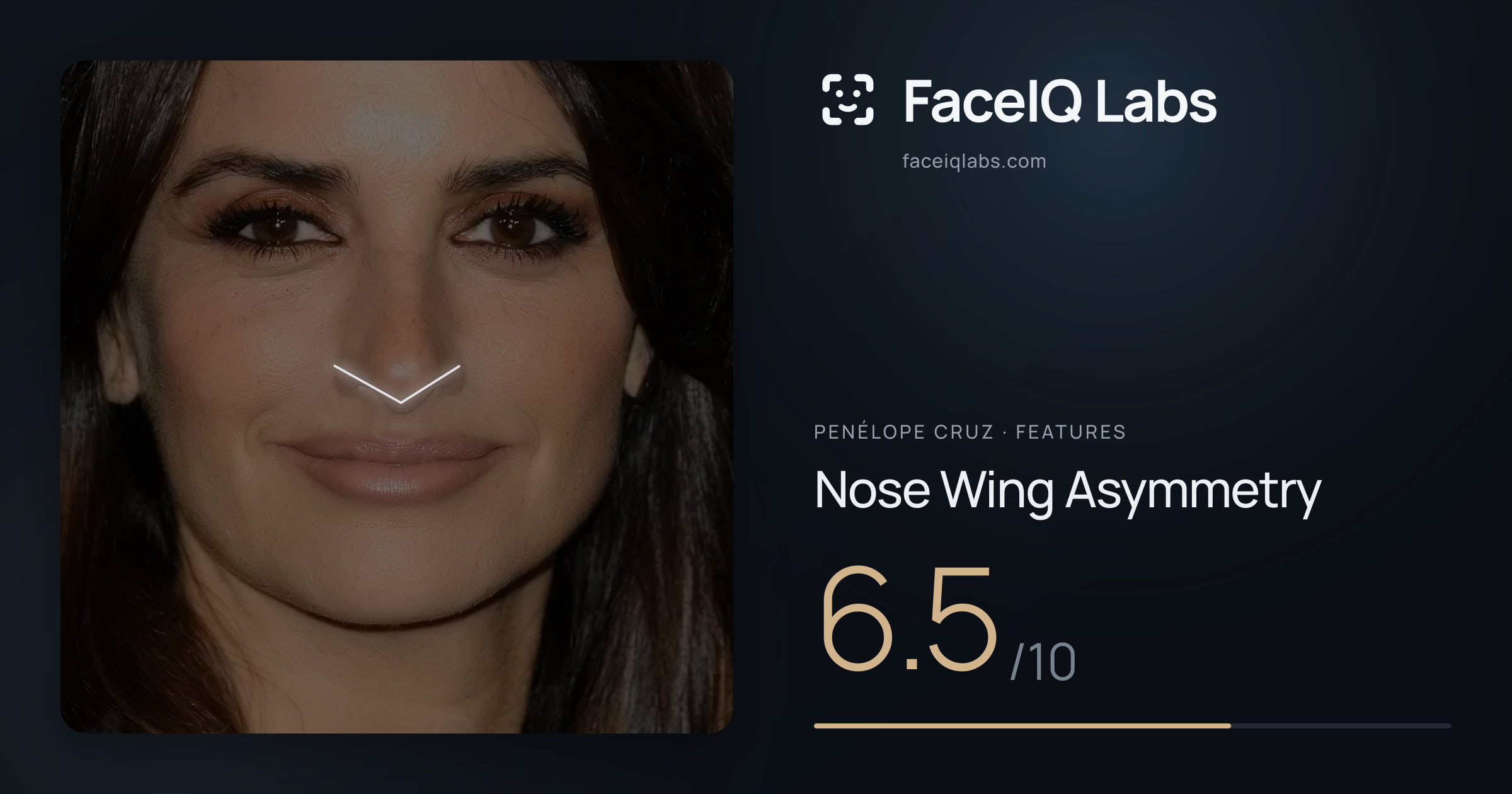 penélope cruz Nose Wing Asymmetry: 6.5/10, drawn on the photo