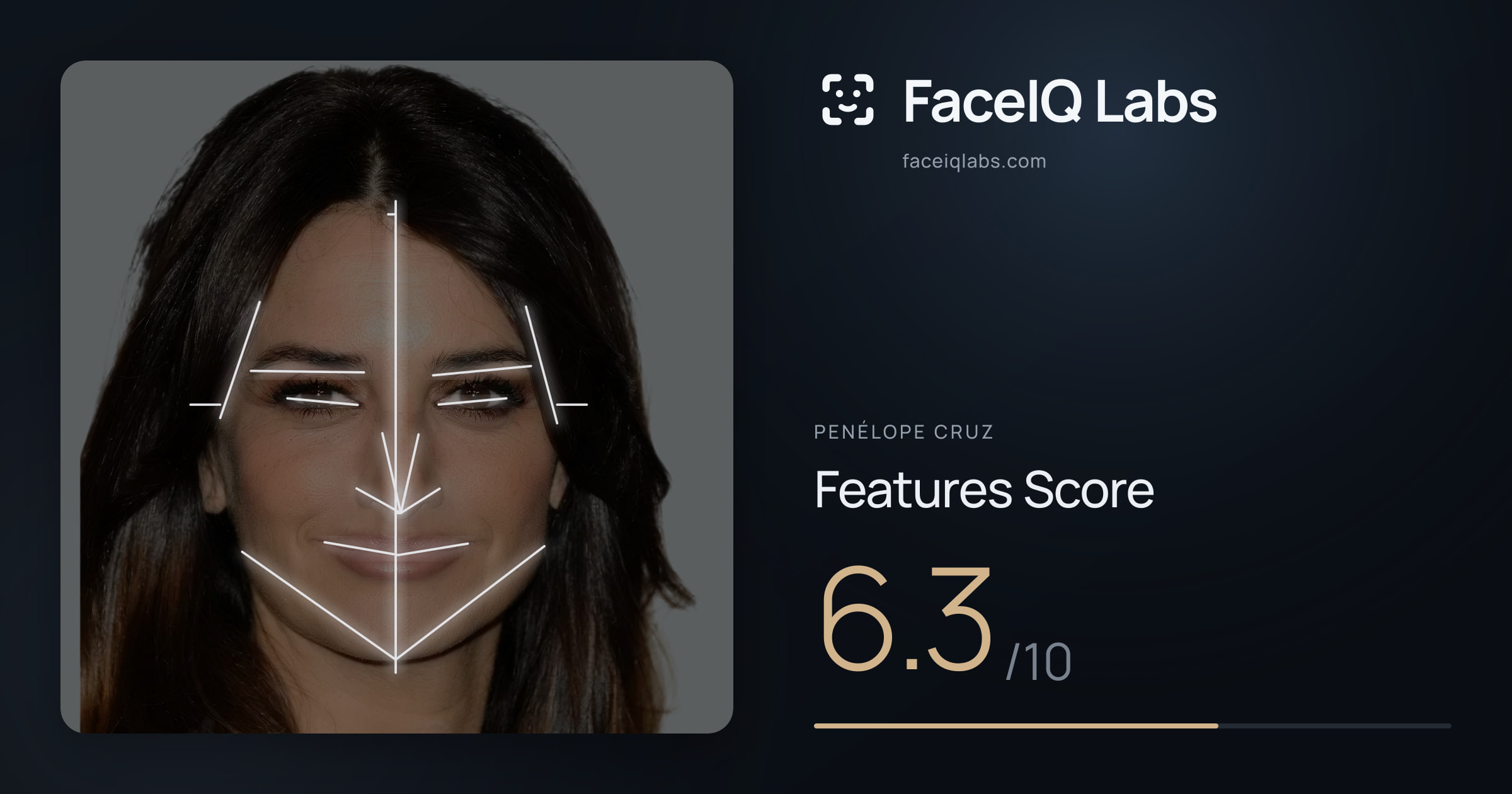 penélope cruz Features: 6.3/10, with each assessment drawn on the photo