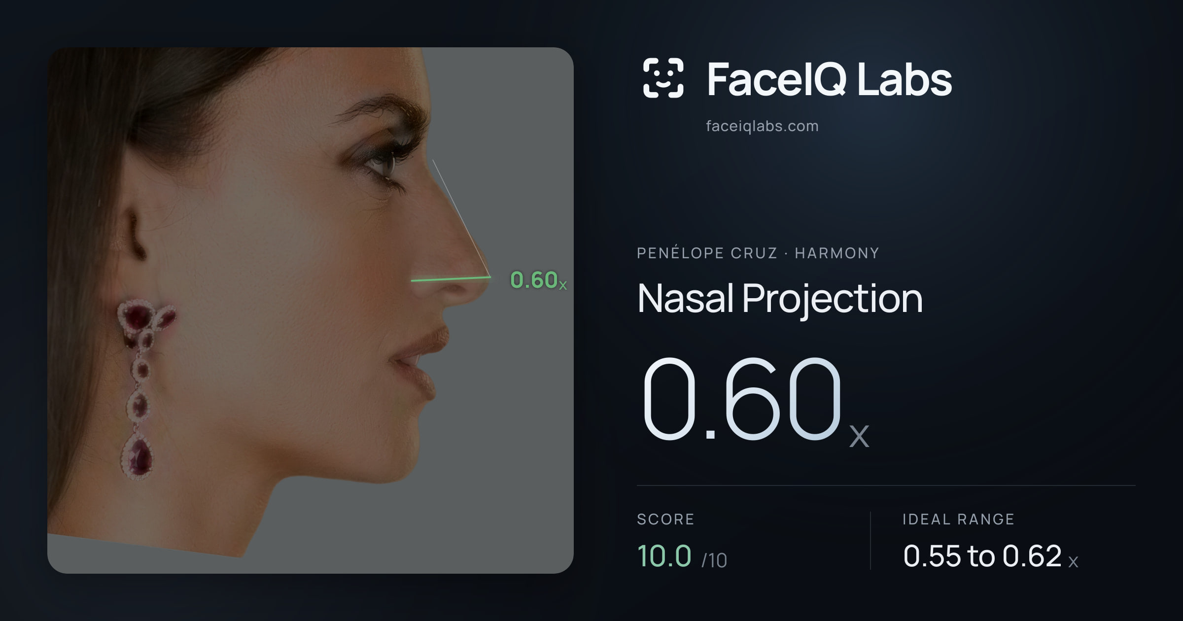 penélope cruz Nasal Projection: 0.60x, drawn on the photo