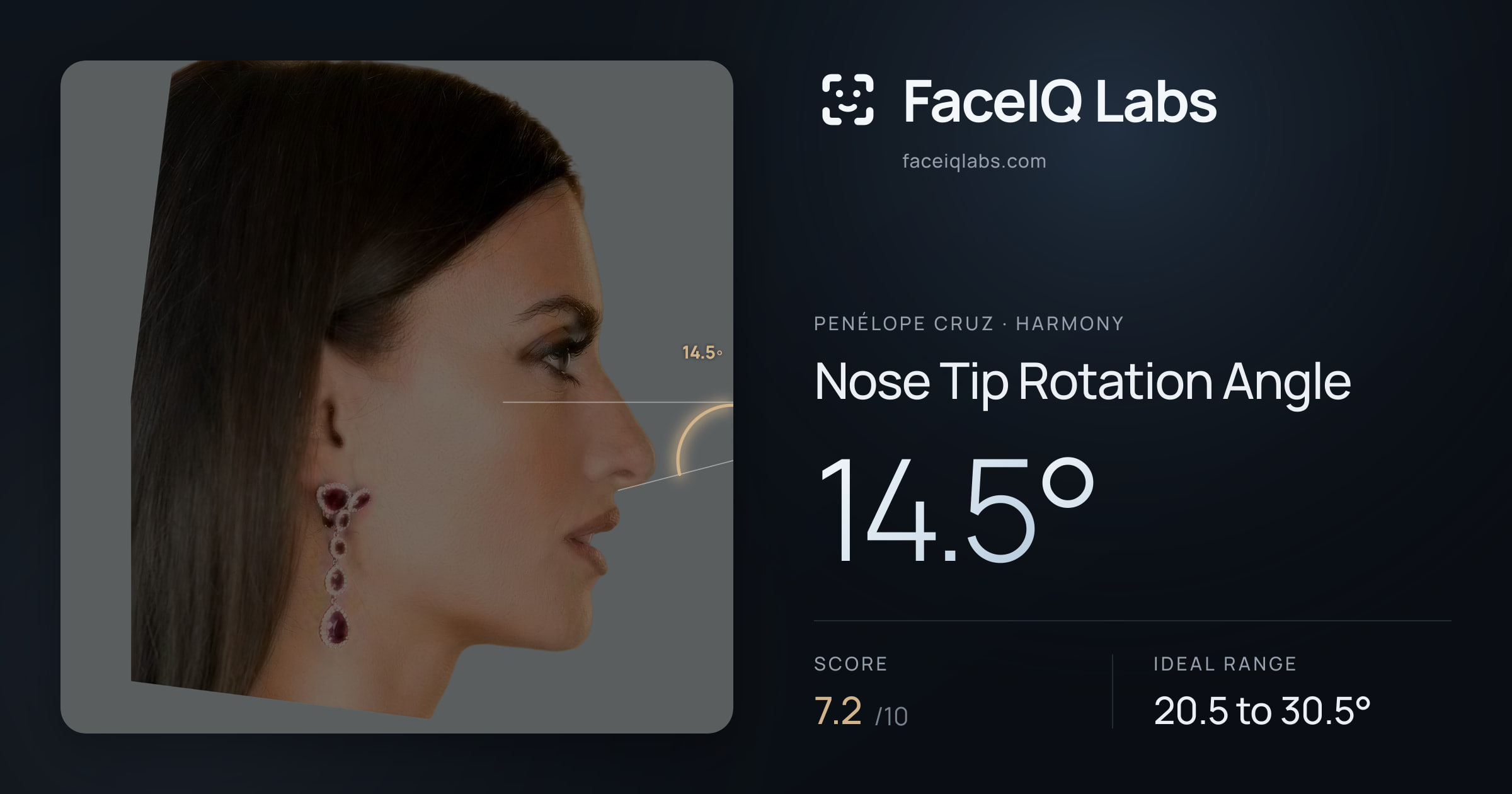 penélope cruz Nose Tip Rotation Angle: 14.5°, drawn on the photo