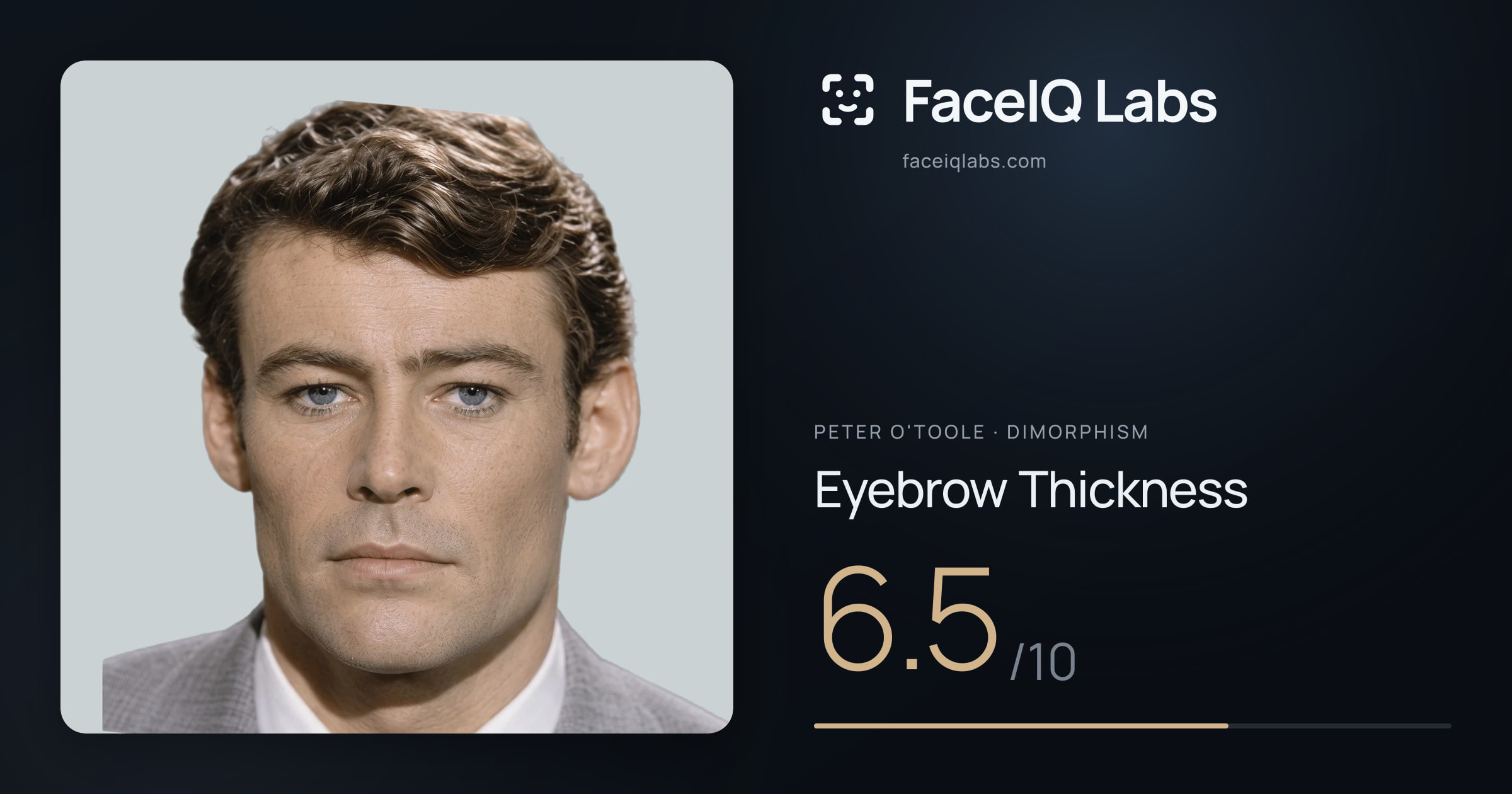 Peter O'Toole Eyebrow Thickness: 6.5/10, drawn on the photo