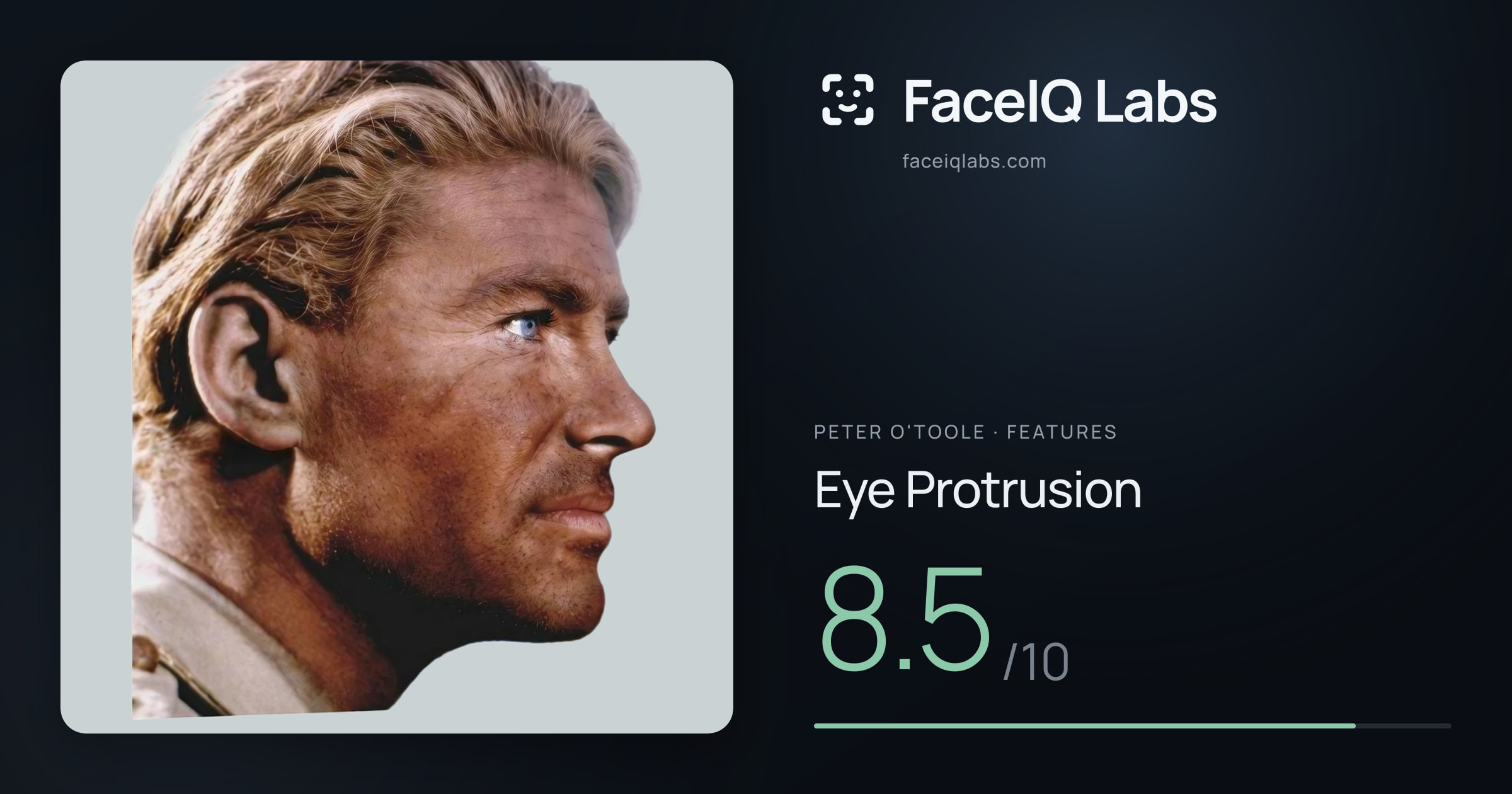 Peter O'Toole Eye Protrusion: 8.5/10, drawn on the photo