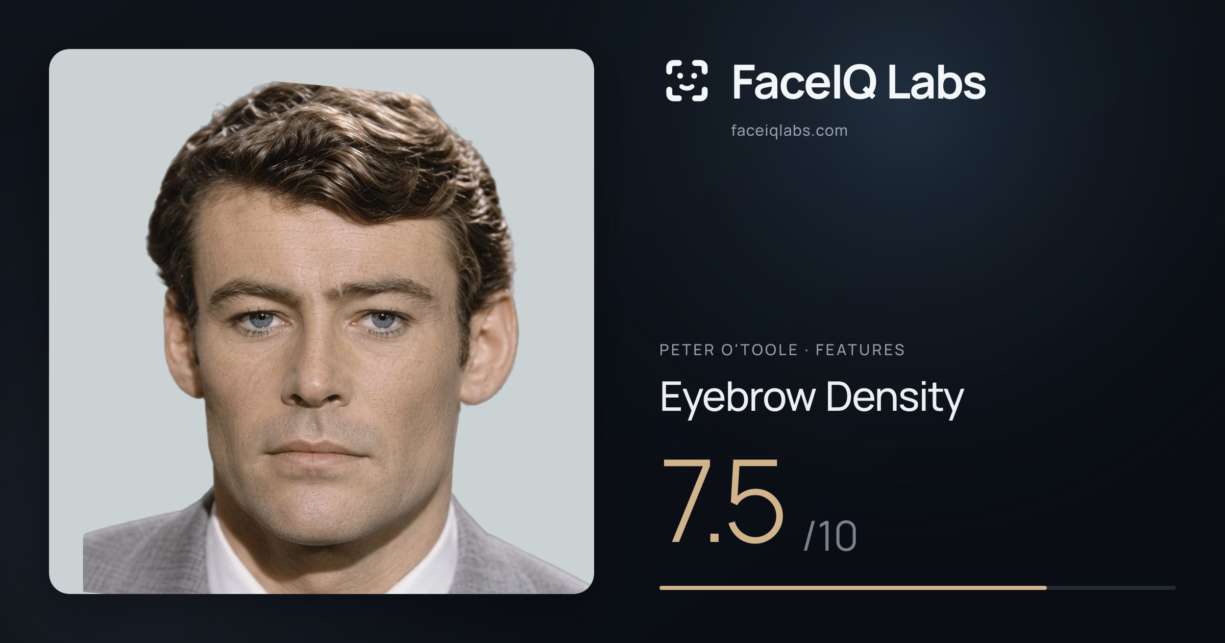 Peter O'Toole Eyebrow Density: 7.5/10, drawn on the photo