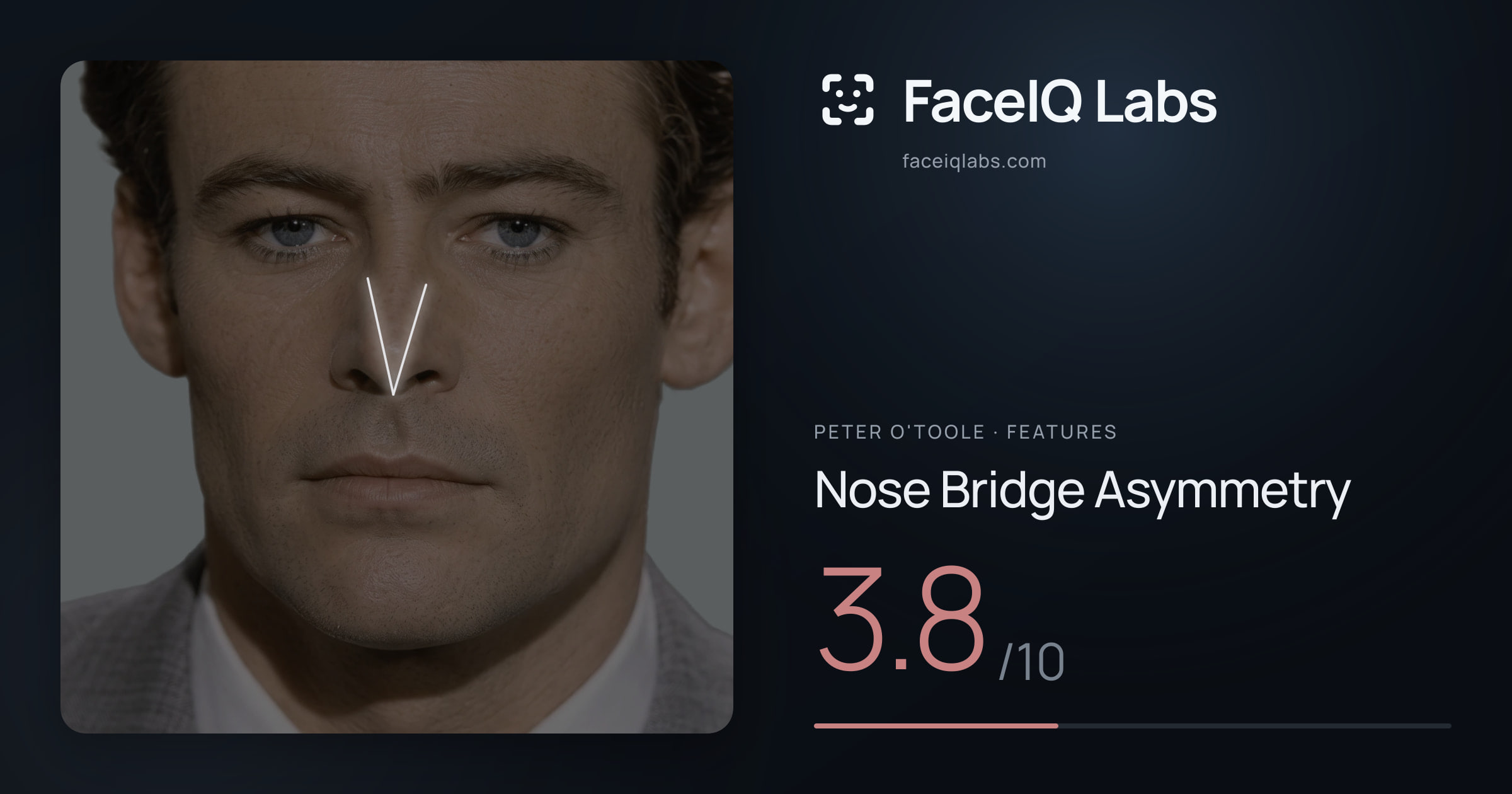 Peter O'Toole Nose Bridge Asymmetry: 3.8/10, drawn on the photo