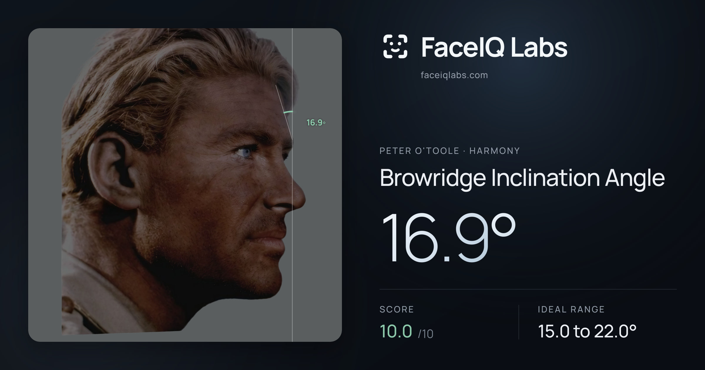 Peter O'Toole Browridge Inclination Angle: 16.9°, drawn on the photo