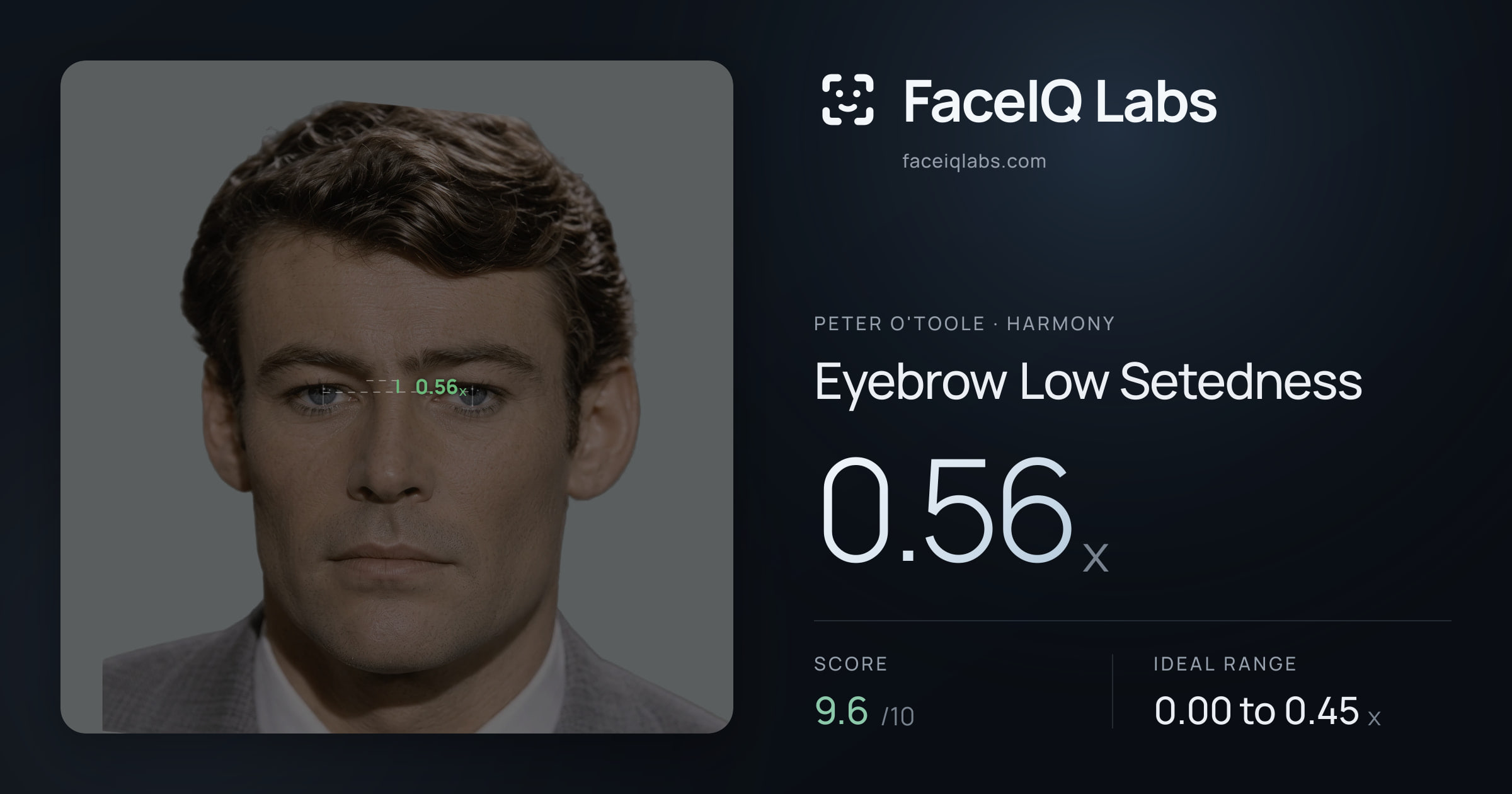 Peter O'Toole Eyebrow Low Setedness: 0.56x, drawn on the photo