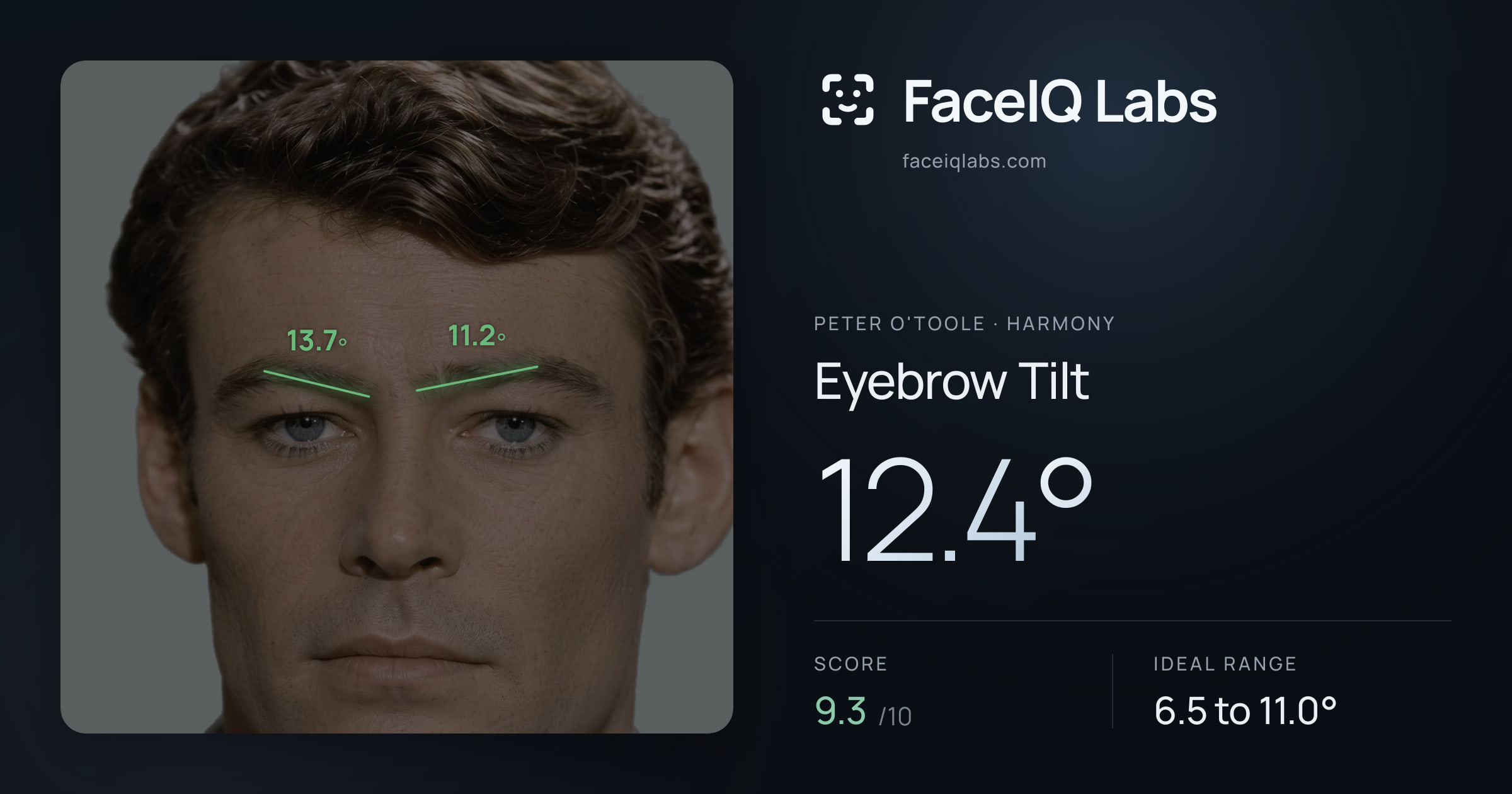 Peter O'Toole Eyebrow Tilt: 12.4°, drawn on the photo