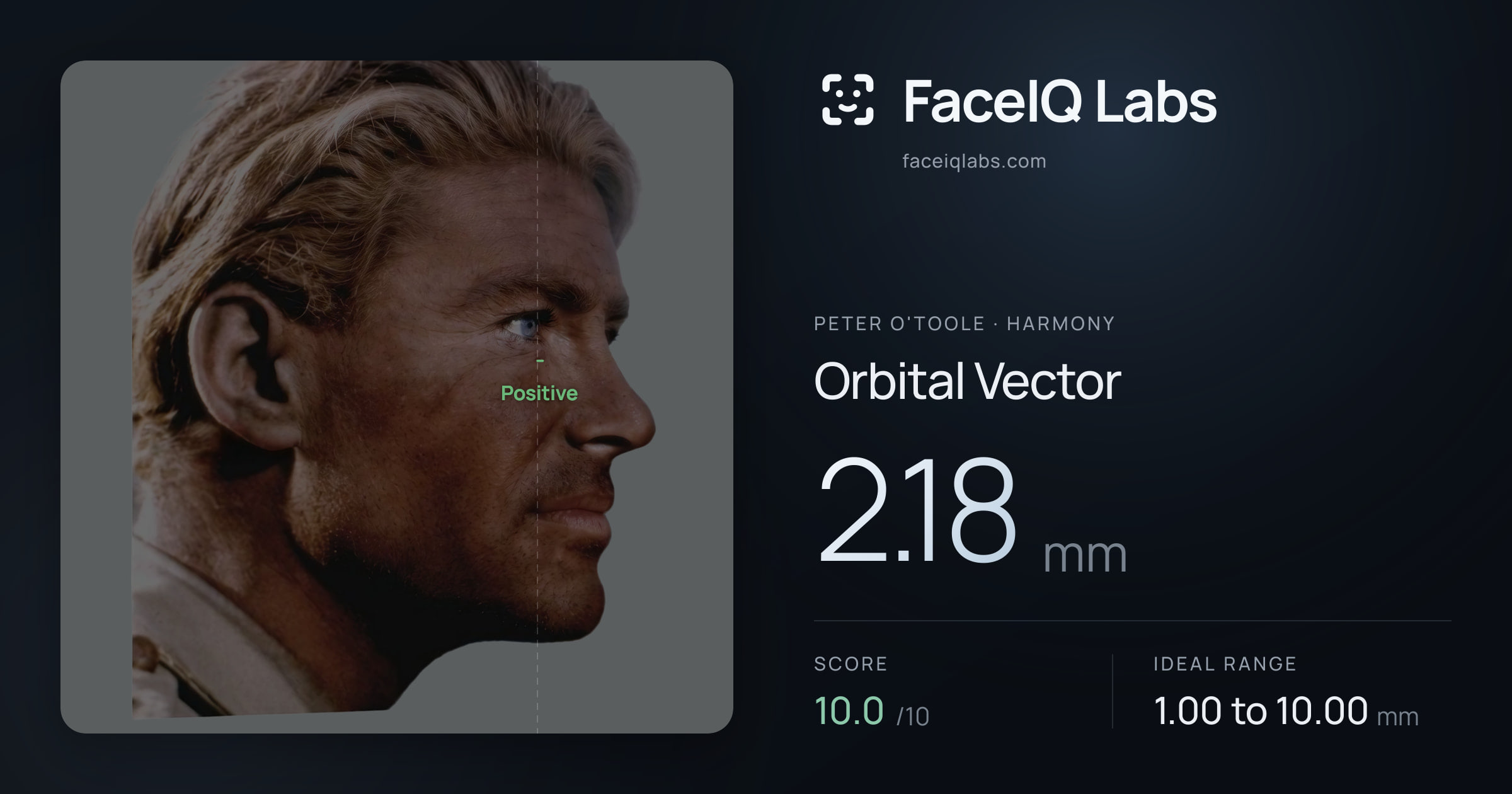 Peter O'Toole Orbital Vector: 2.18mm, drawn on the photo