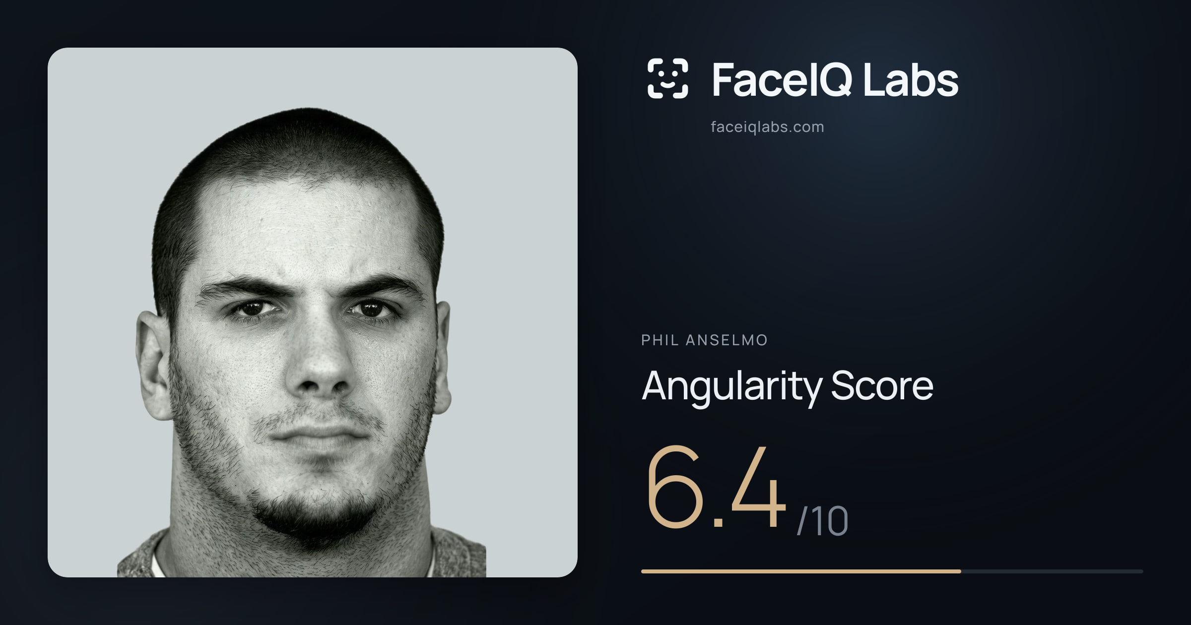 Phil Anselmo Angularity: 6.4/10, with each assessment drawn on the photo