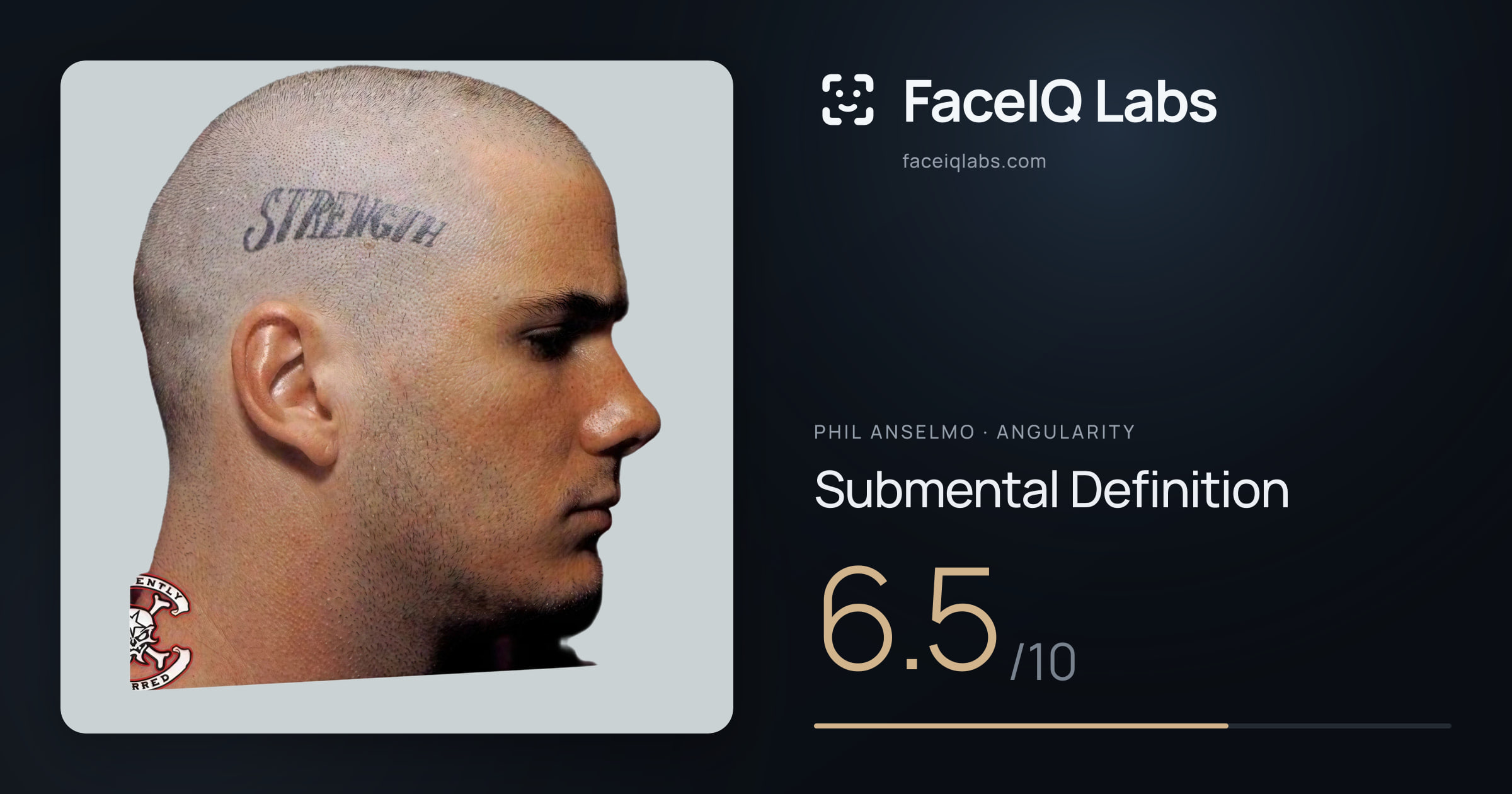 Phil Anselmo Submental Definition: 6.5/10, drawn on the photo