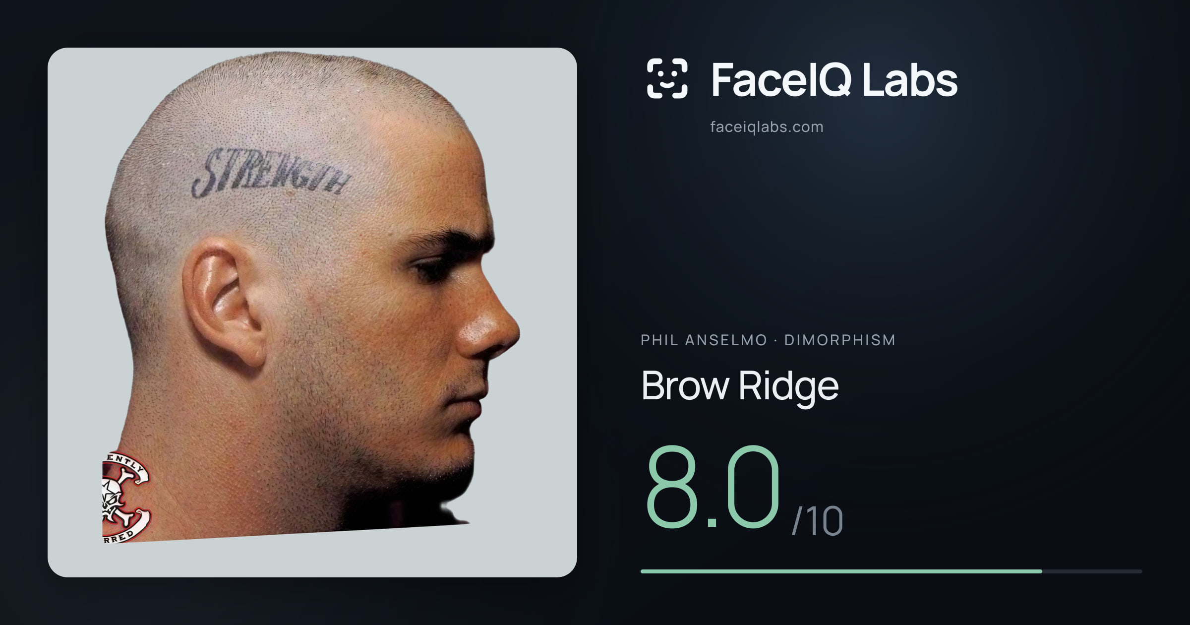 Phil Anselmo Brow Ridge: 8.0/10, drawn on the photo