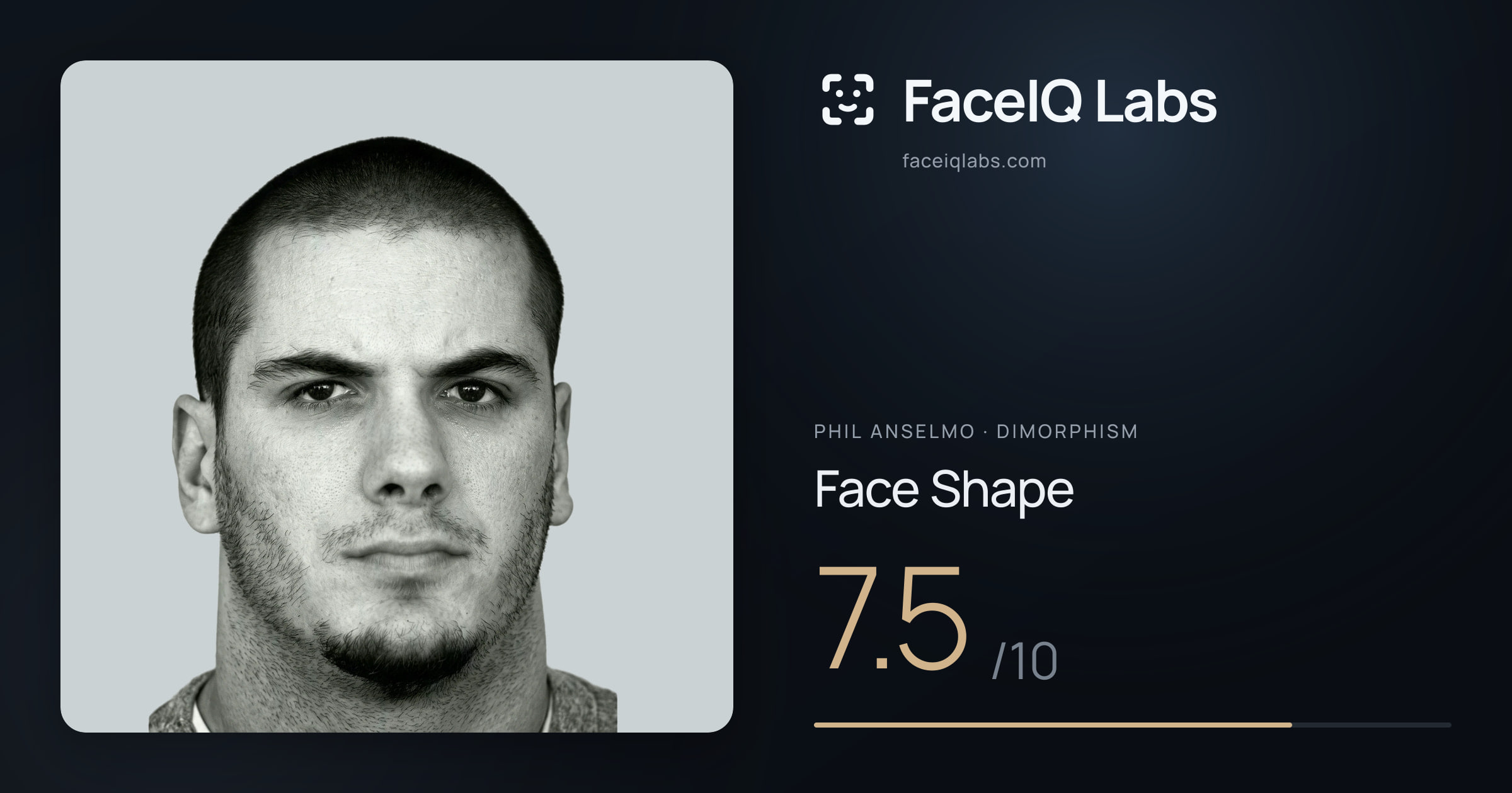 Phil Anselmo Face Shape: 7.5/10, drawn on the photo