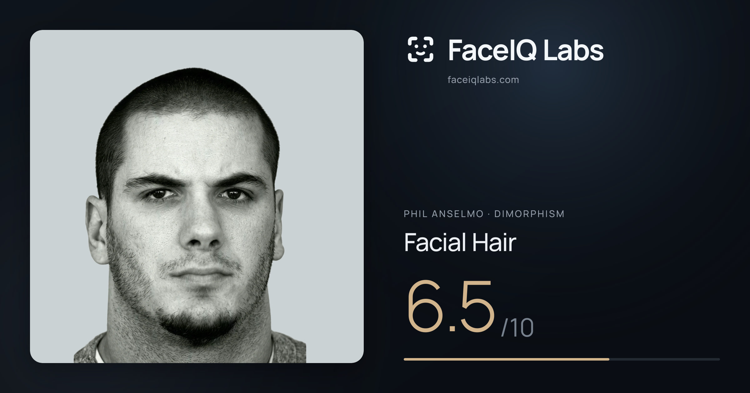 Phil Anselmo Facial Hair: 6.5/10, drawn on the photo