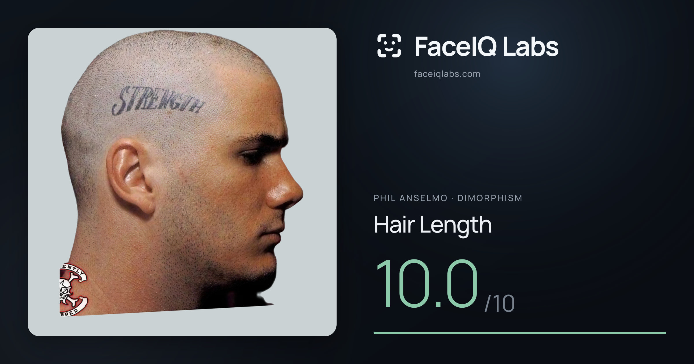 Phil Anselmo Hair Length: 10.0/10, drawn on the photo