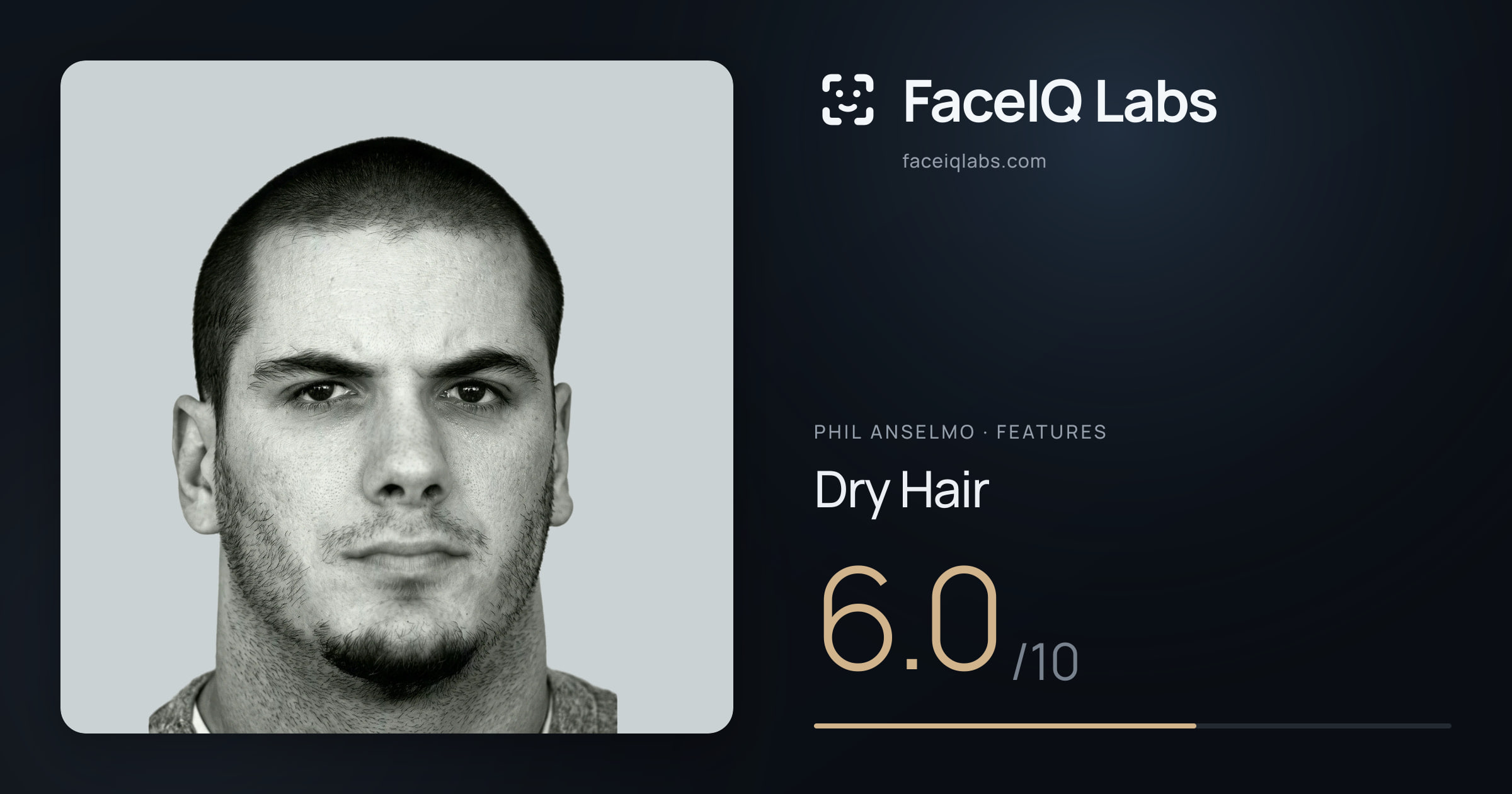 Phil Anselmo Dry Hair: 6.0/10, drawn on the photo