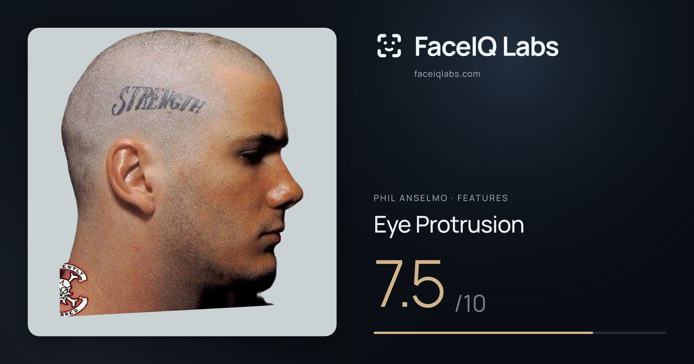 Phil Anselmo Eye Protrusion: 7.5/10, drawn on the photo