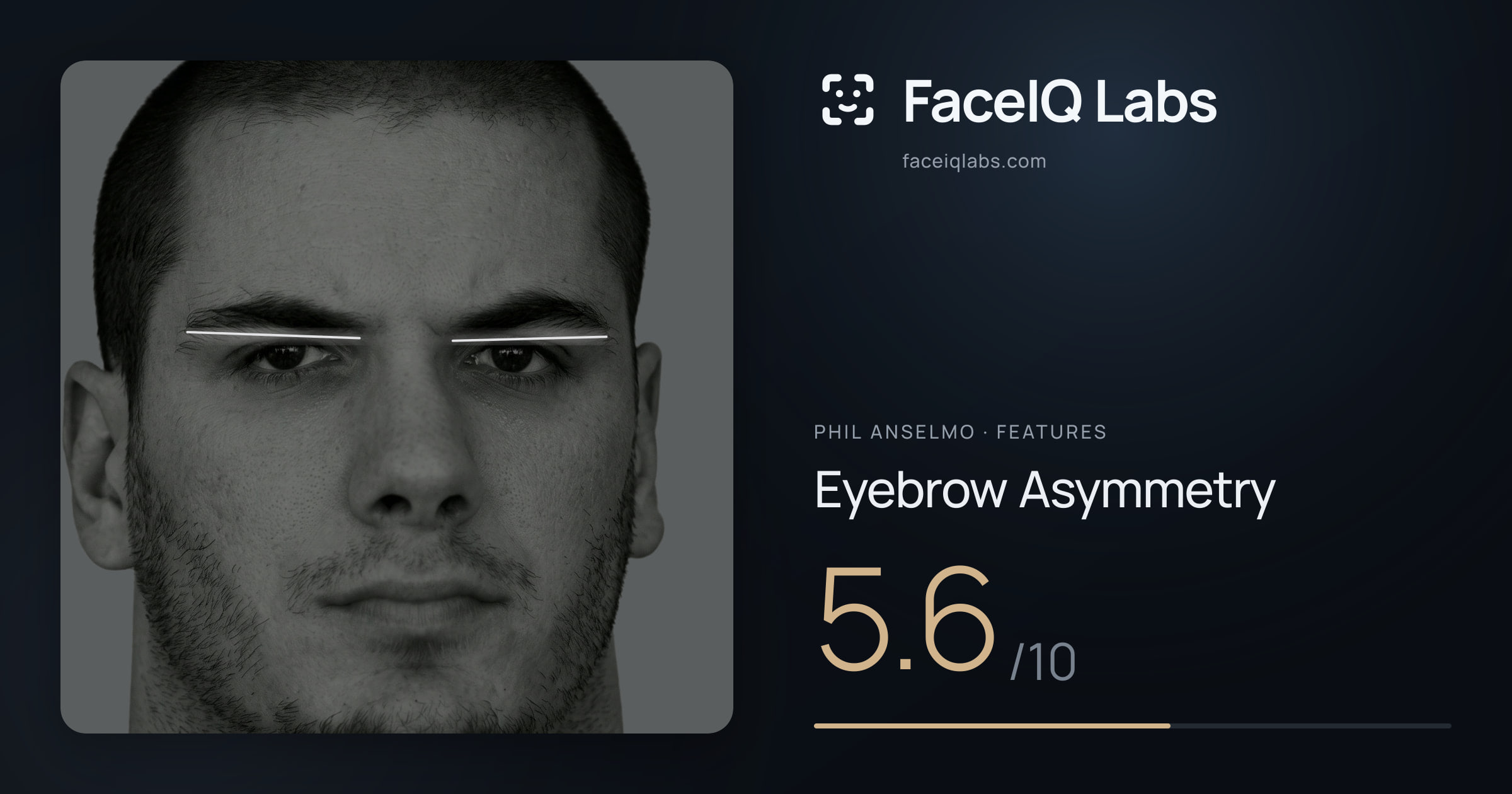 Phil Anselmo Eyebrow Asymmetry: 5.6/10, drawn on the photo
