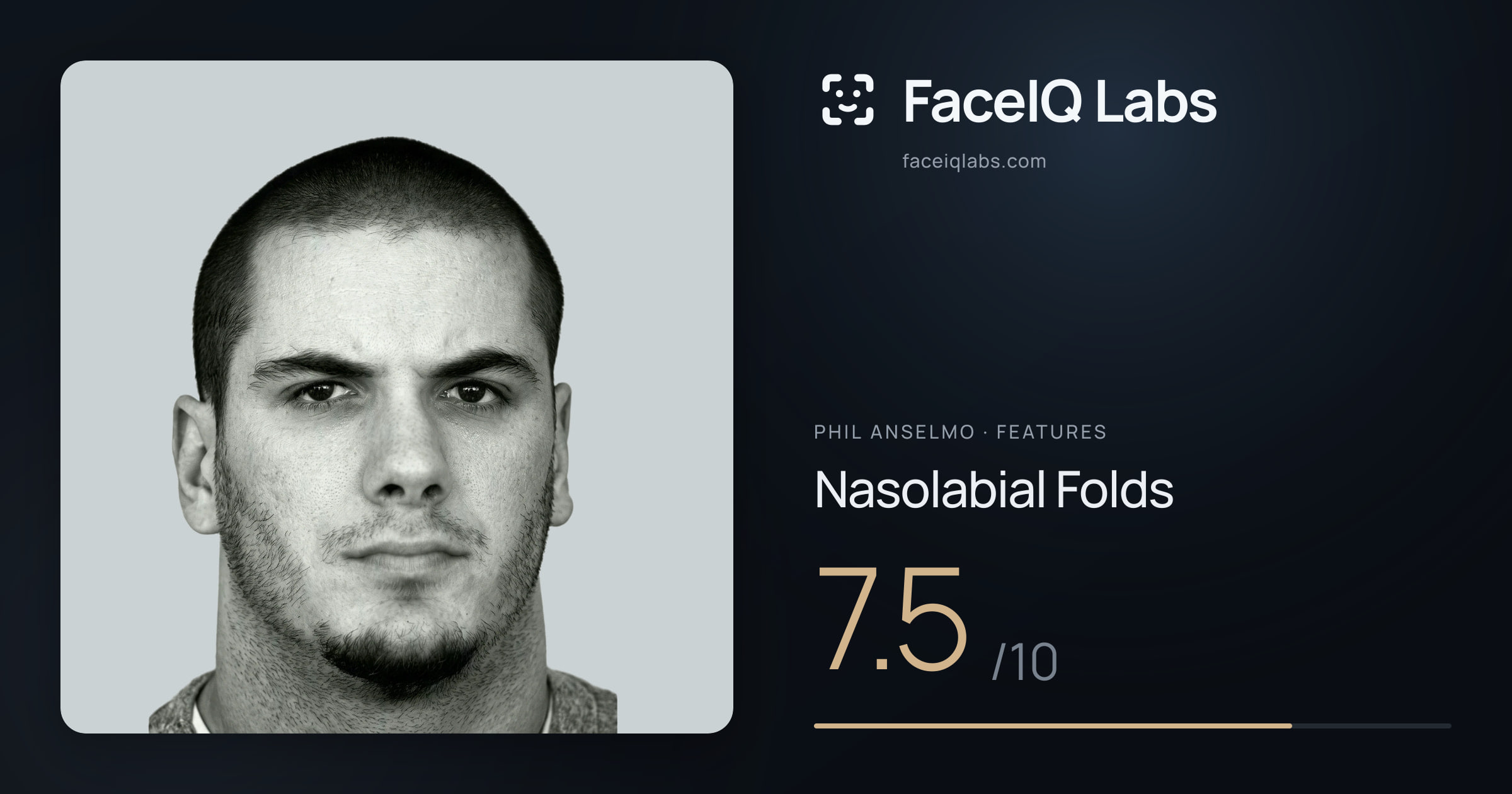 Phil Anselmo Nasolabial Folds: 7.5/10, drawn on the photo