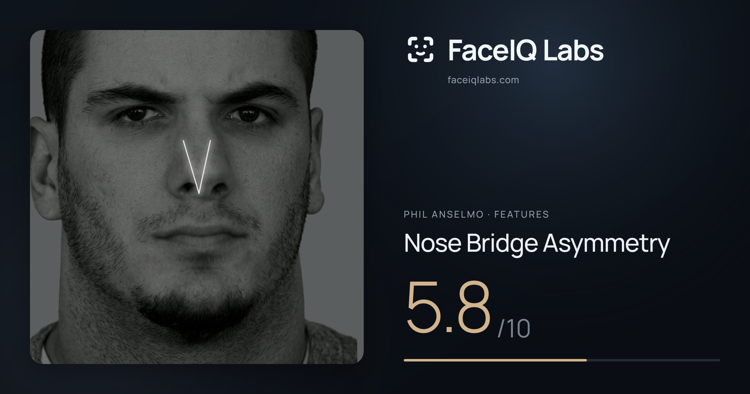 Phil Anselmo Nose Bridge Asymmetry: 5.8/10, drawn on the photo