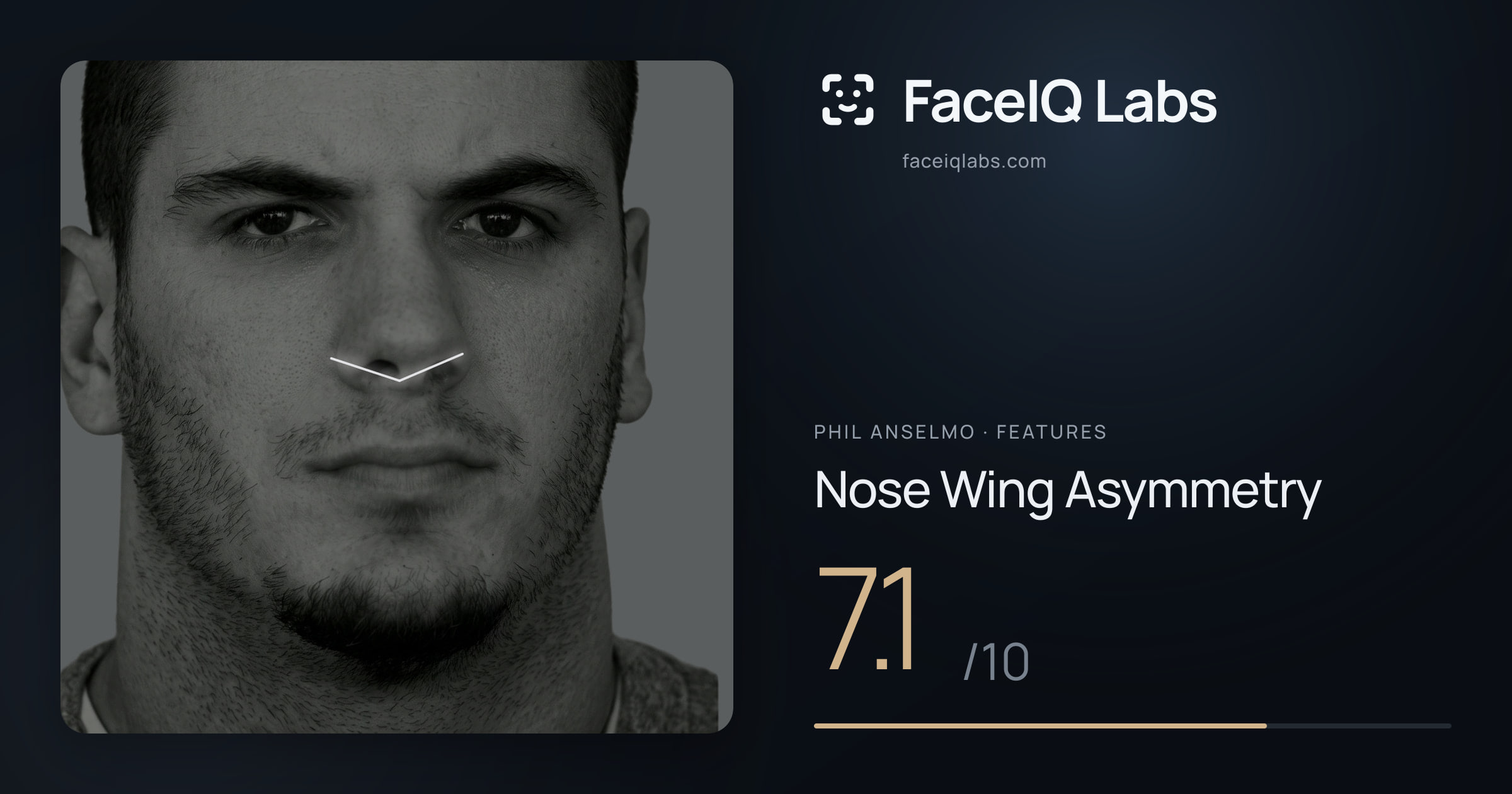 Phil Anselmo Nose Wing Asymmetry: 7.1/10, drawn on the photo