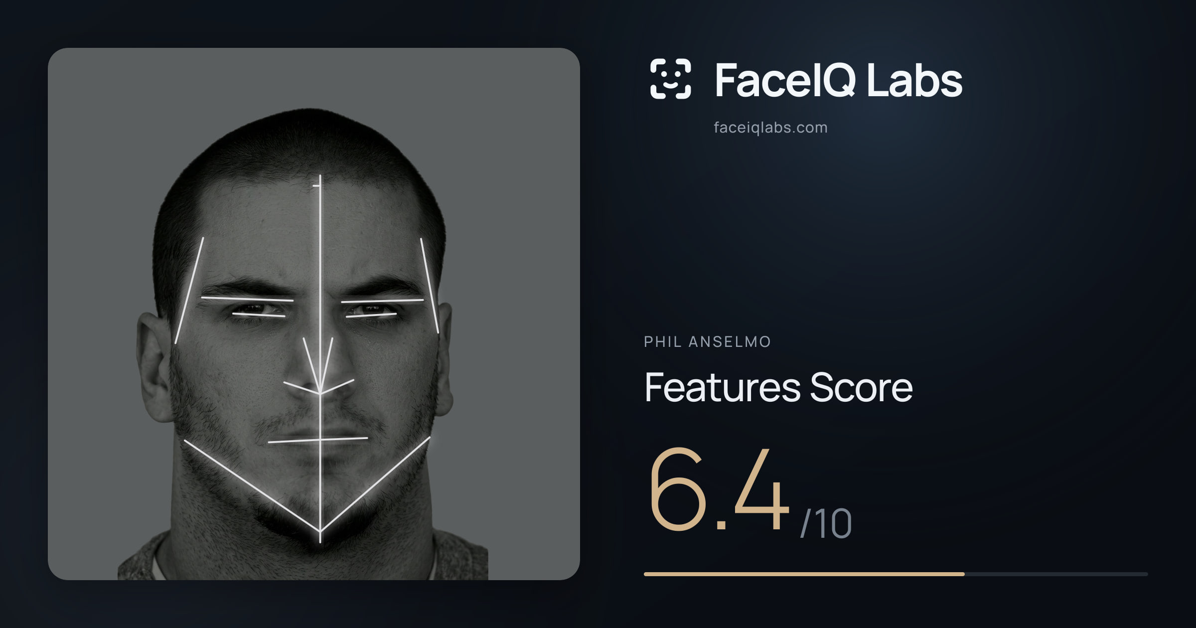 Phil Anselmo Features: 6.4/10, with each assessment drawn on the photo