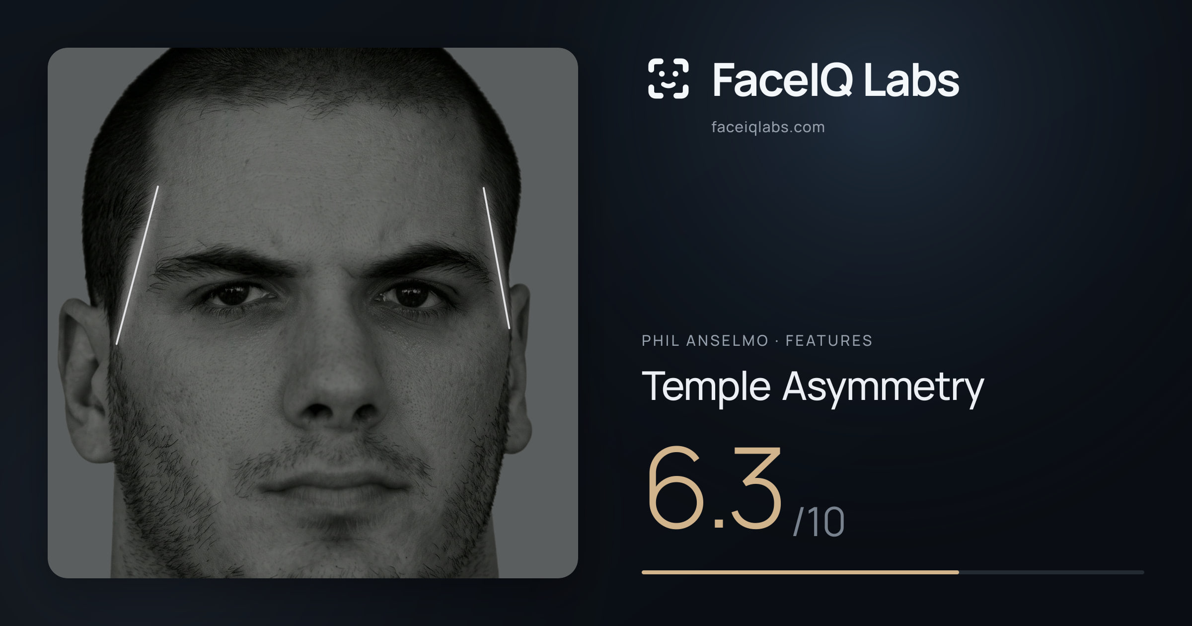 Phil Anselmo Temple Asymmetry: 6.3/10, drawn on the photo
