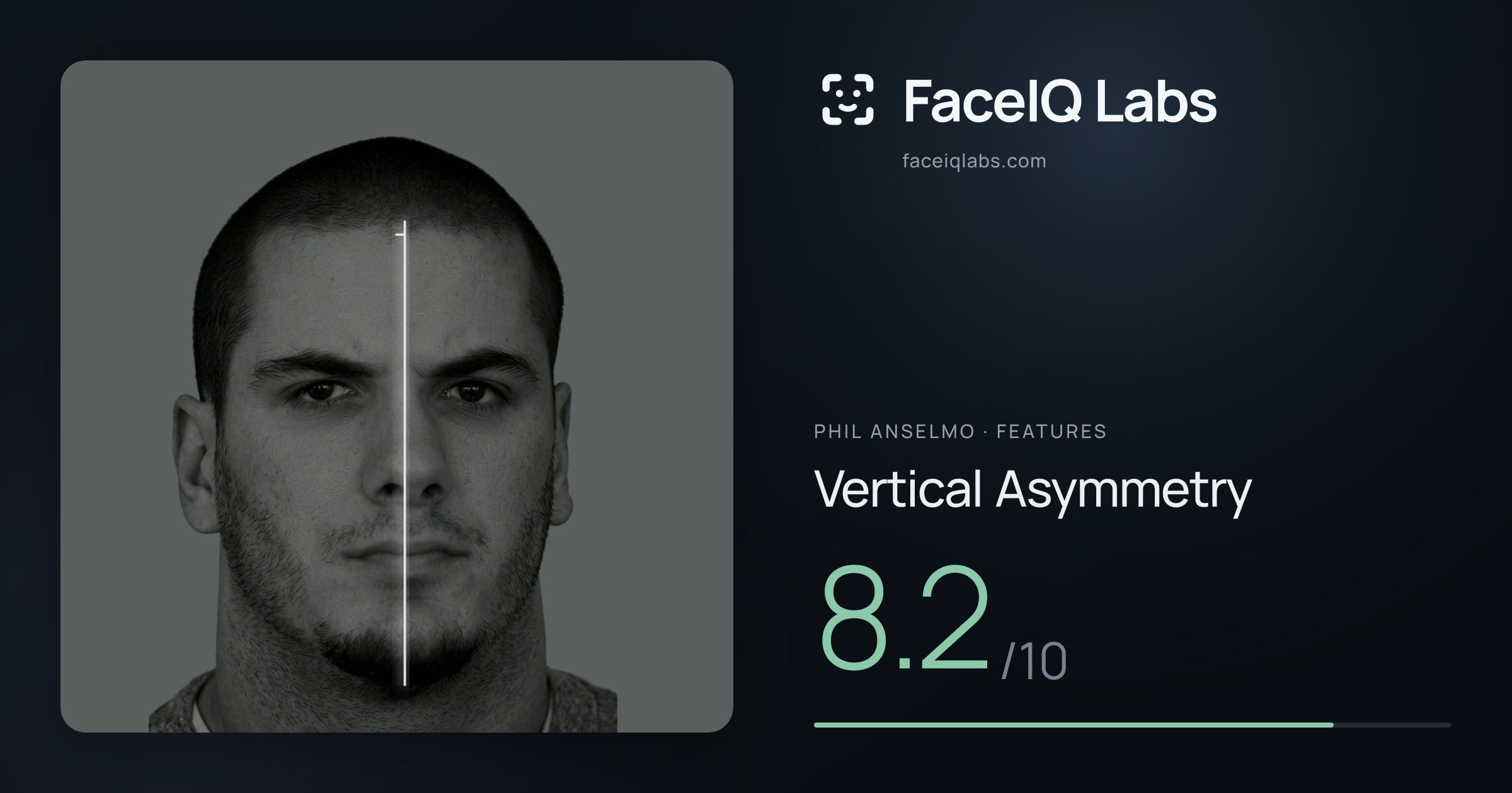 Phil Anselmo Vertical Asymmetry: 8.2/10, drawn on the photo