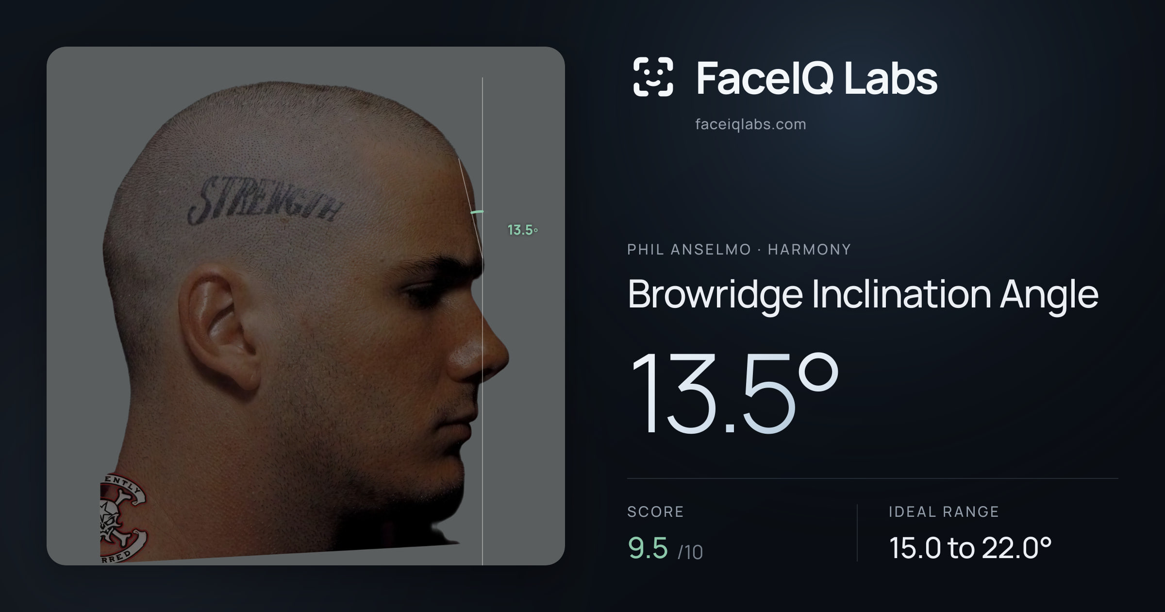 Phil Anselmo Browridge Inclination Angle: 13.5°, drawn on the photo