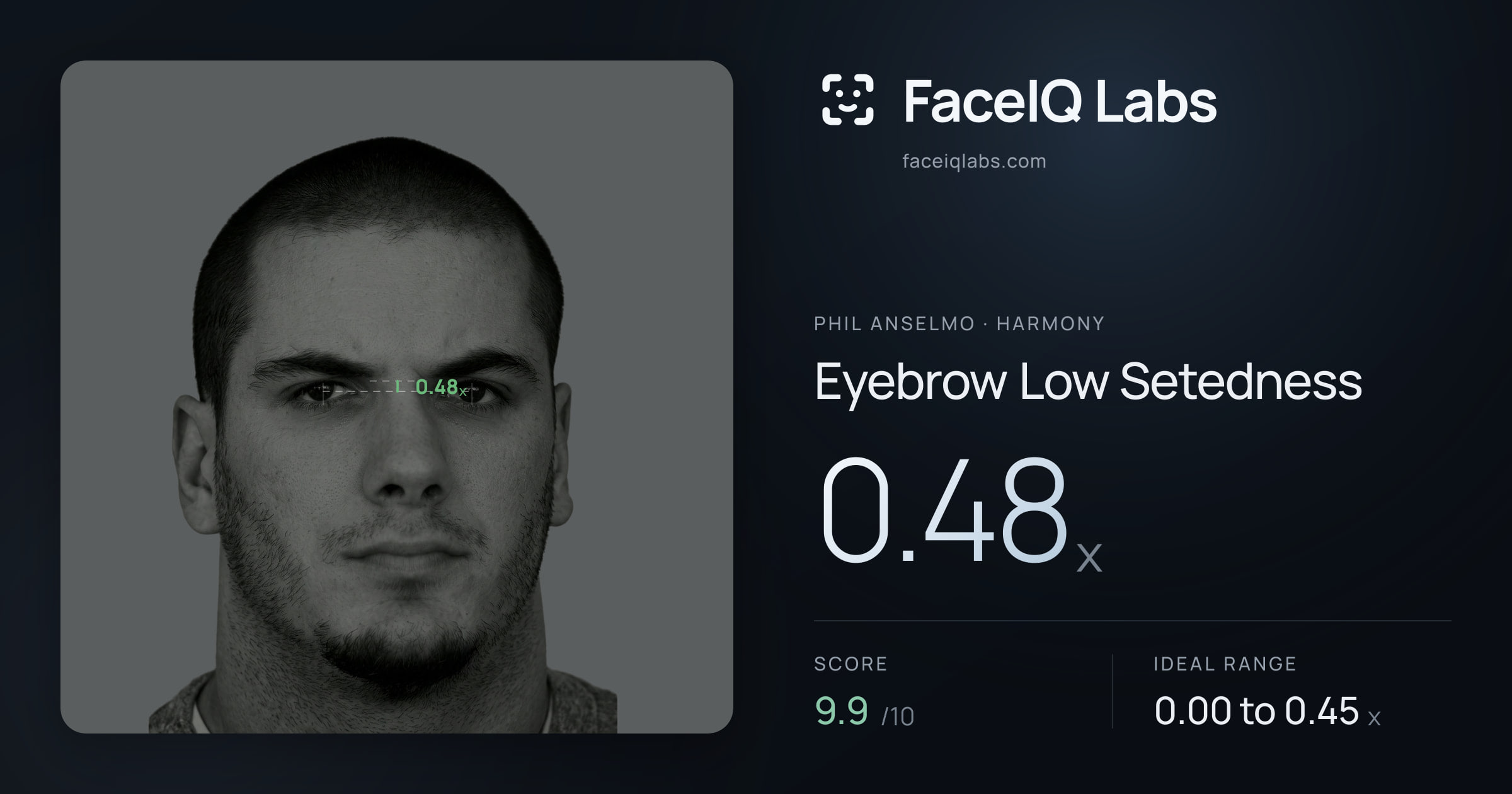 Phil Anselmo Eyebrow Low Setedness: 0.48x, drawn on the photo