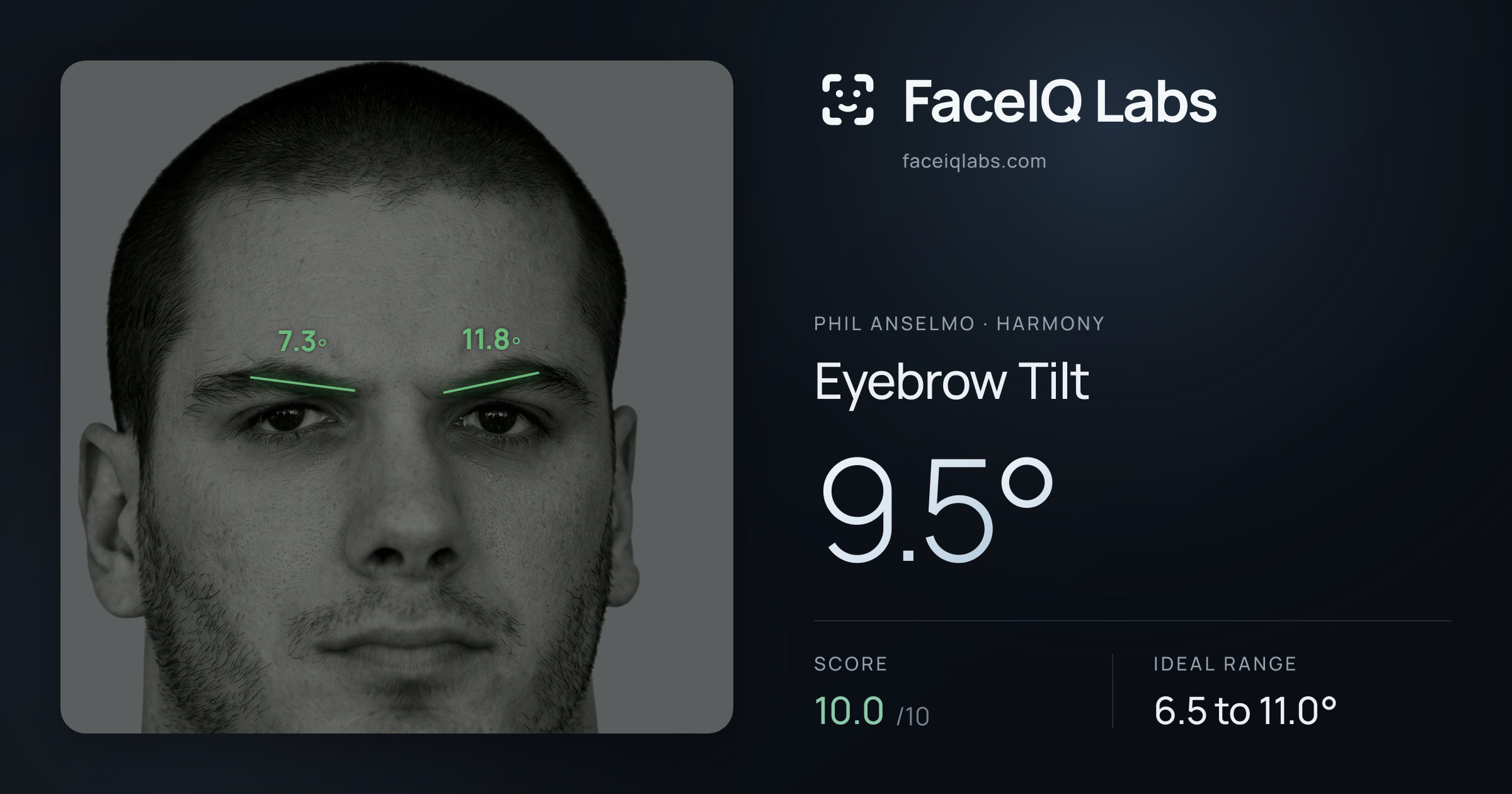 Phil Anselmo Eyebrow Tilt: 9.5°, drawn on the photo