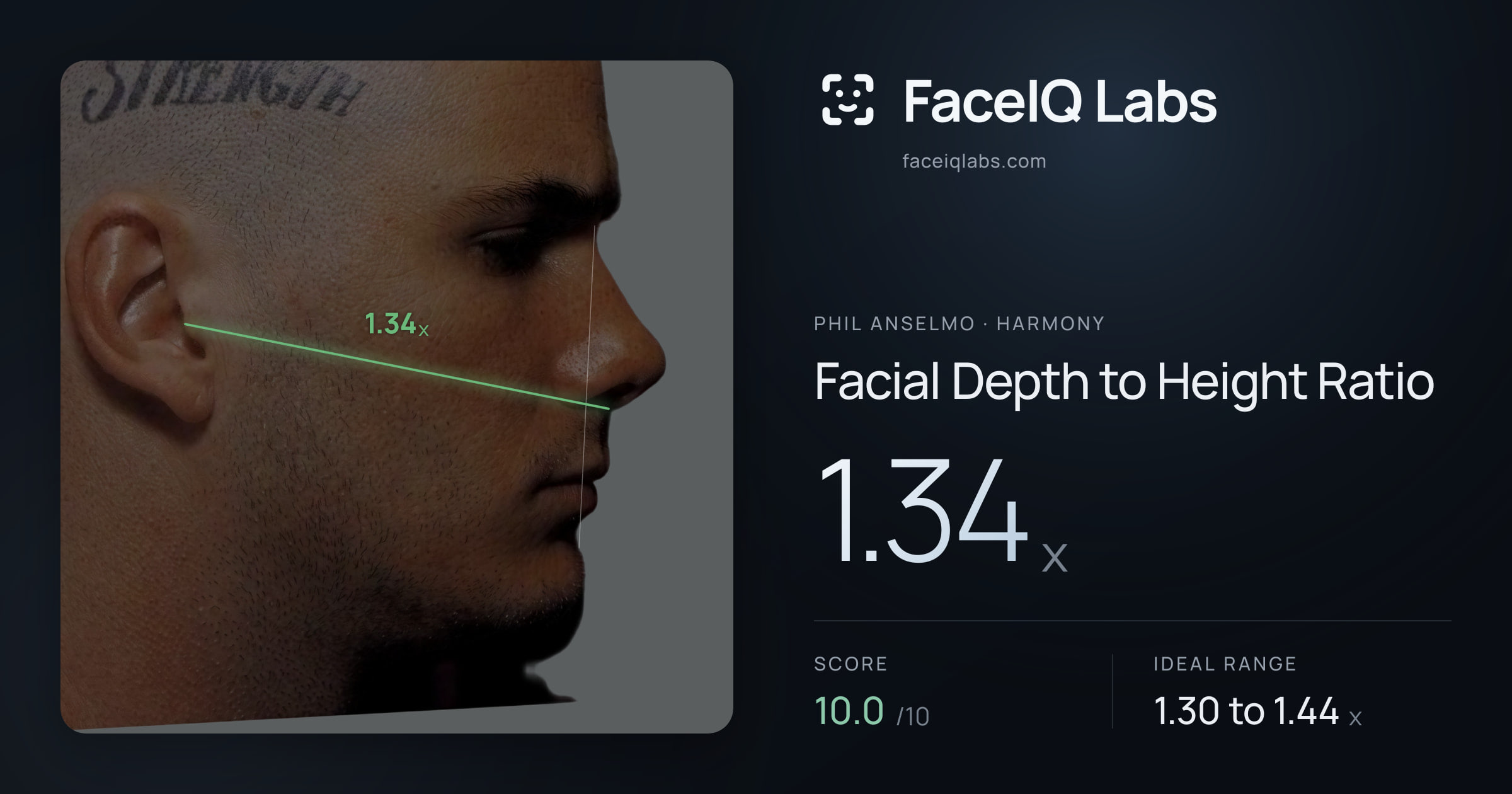 Phil Anselmo Facial Depth to Height Ratio: 1.34x, drawn on the photo