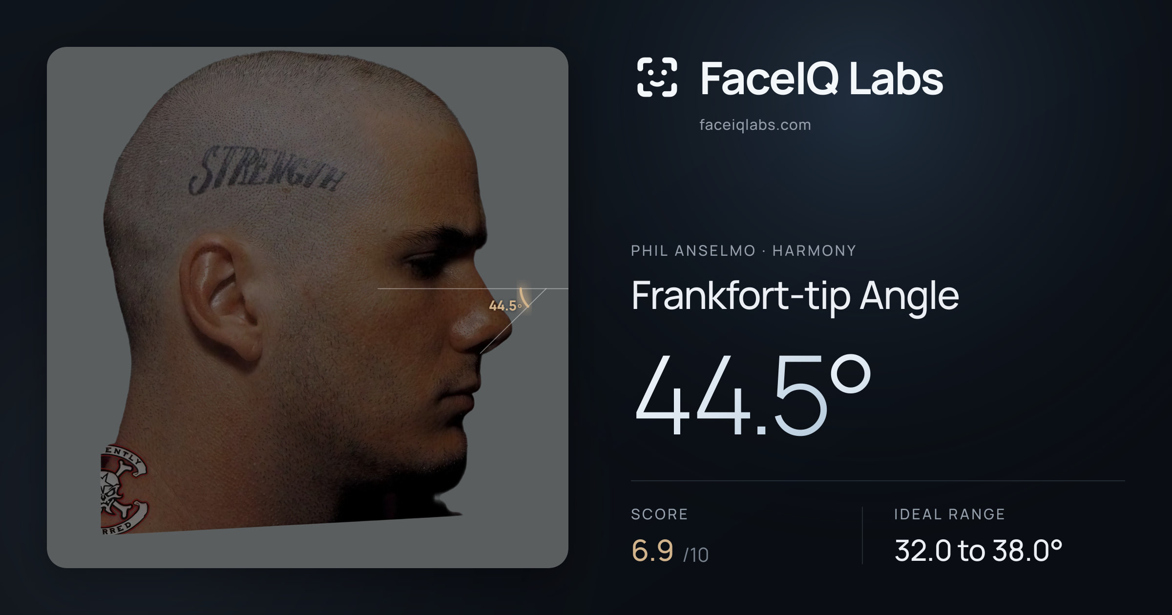 Phil Anselmo Frankfort-tip Angle: 44.5°, drawn on the photo