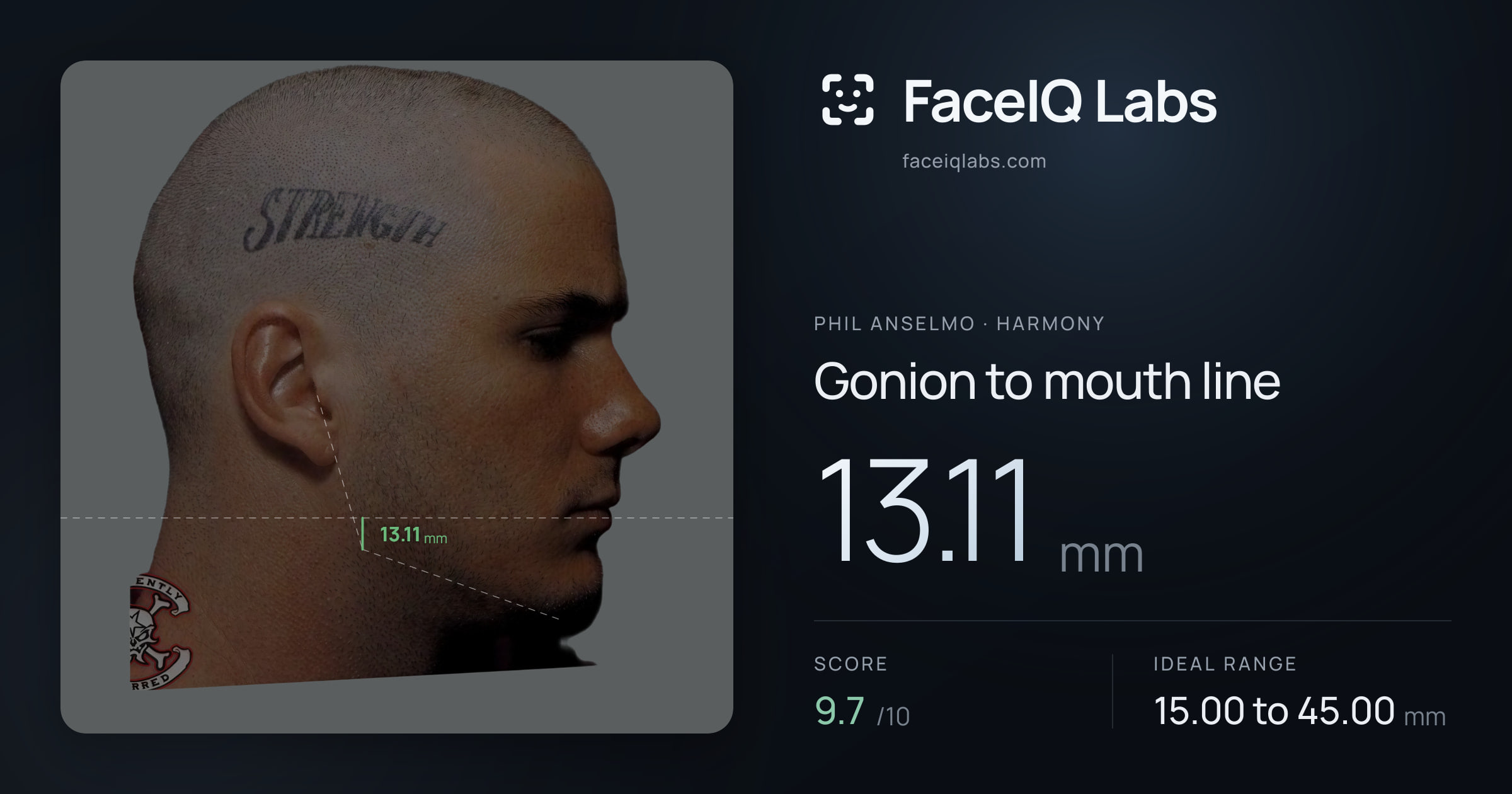 Phil Anselmo Gonion to mouth line: 13.11mm, drawn on the photo