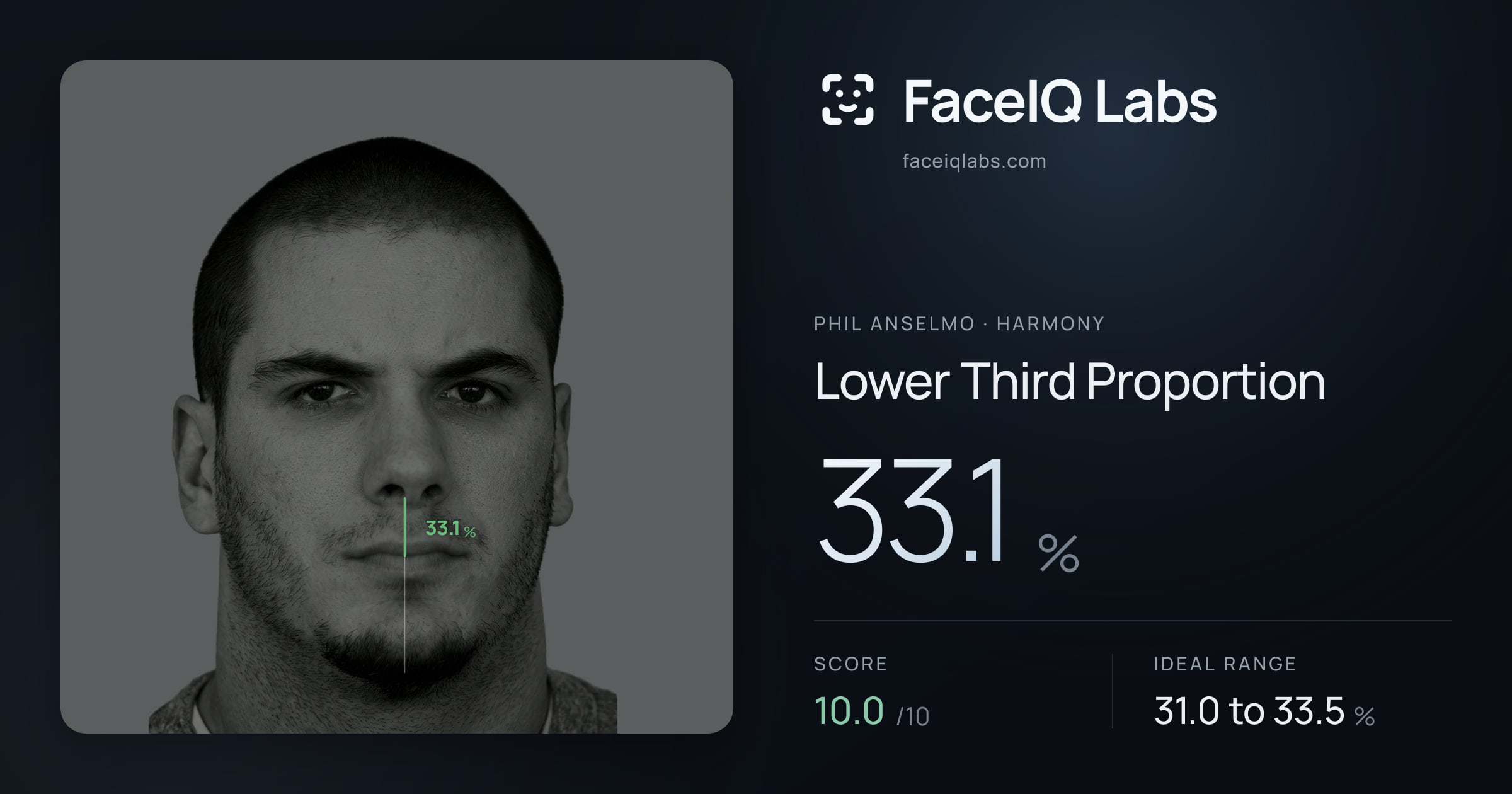 Phil Anselmo Lower Third Proportion: 33.1%, drawn on the photo