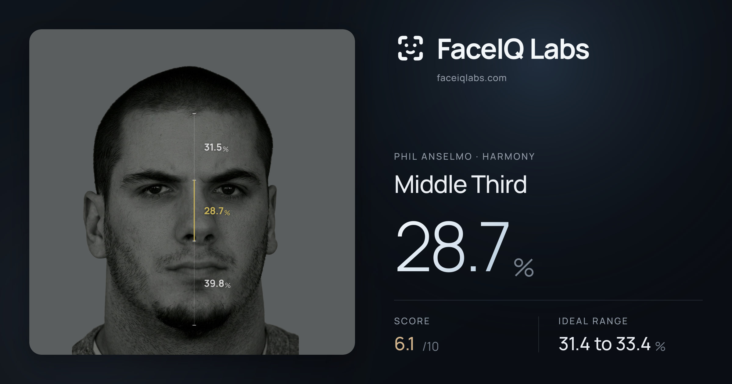 Phil Anselmo Middle Third: 28.7%, drawn on the photo