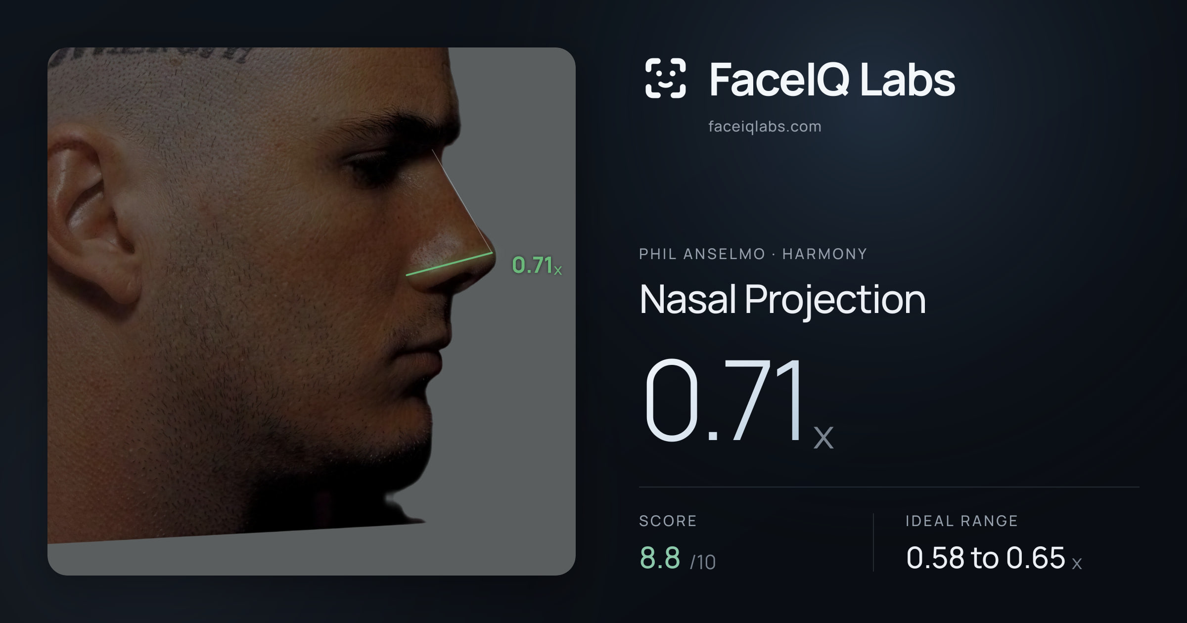 Phil Anselmo Nasal Projection: 0.71x, drawn on the photo