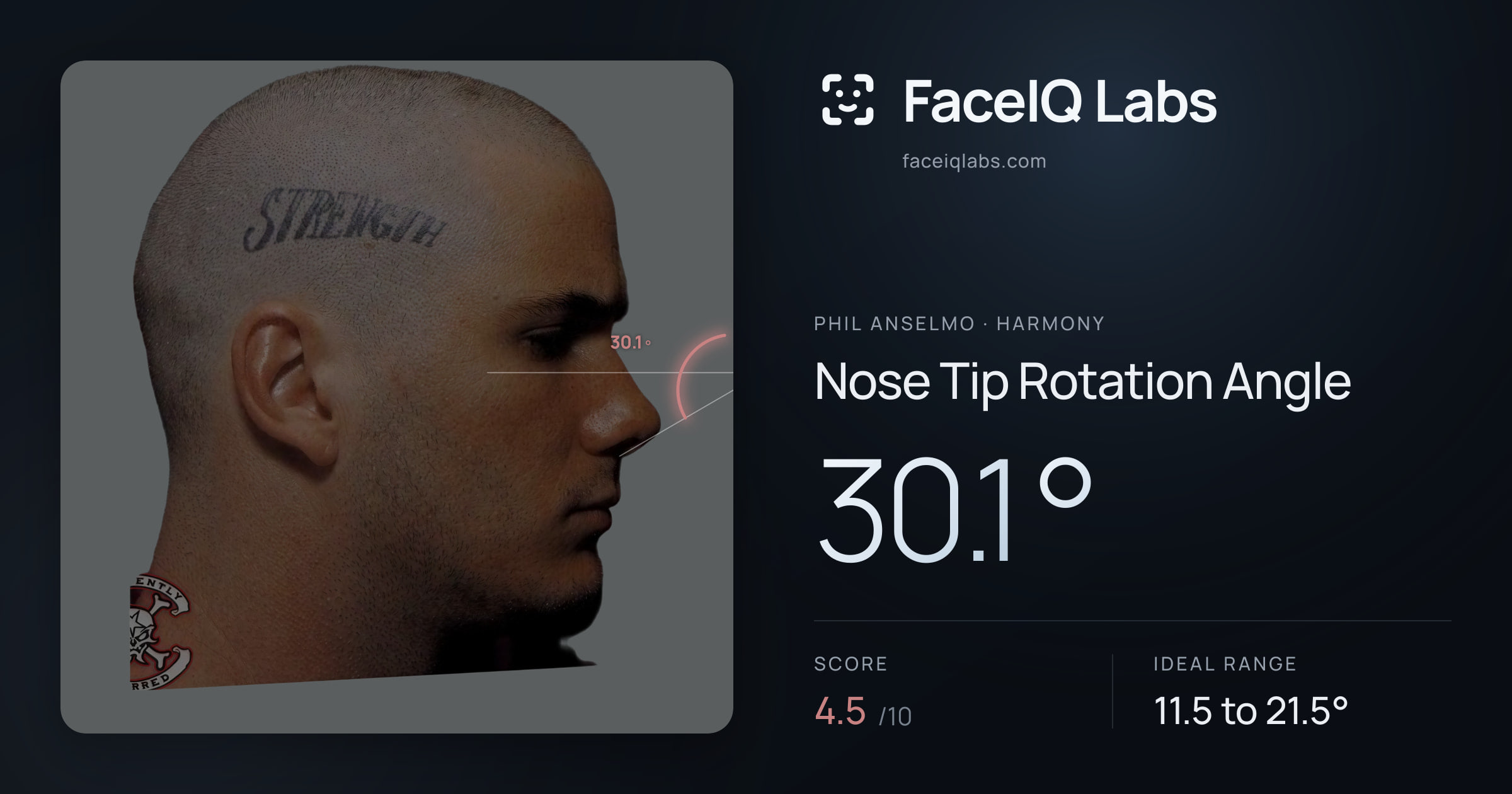 Phil Anselmo Nose Tip Rotation Angle: 30.1°, drawn on the photo