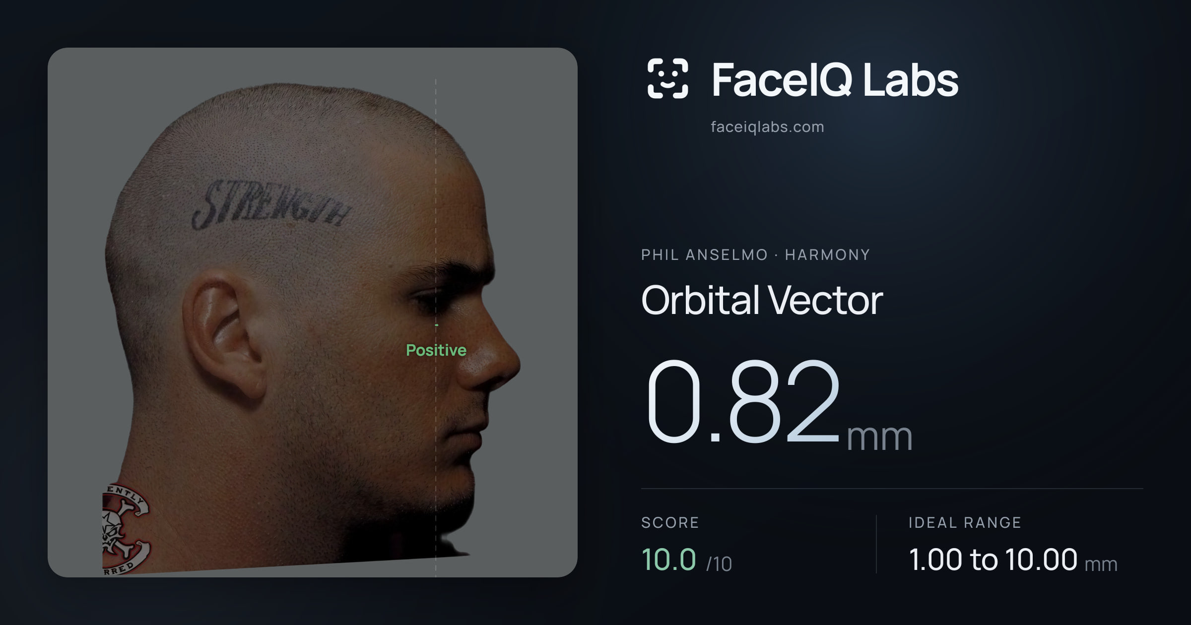Phil Anselmo Orbital Vector: 0.82mm, drawn on the photo