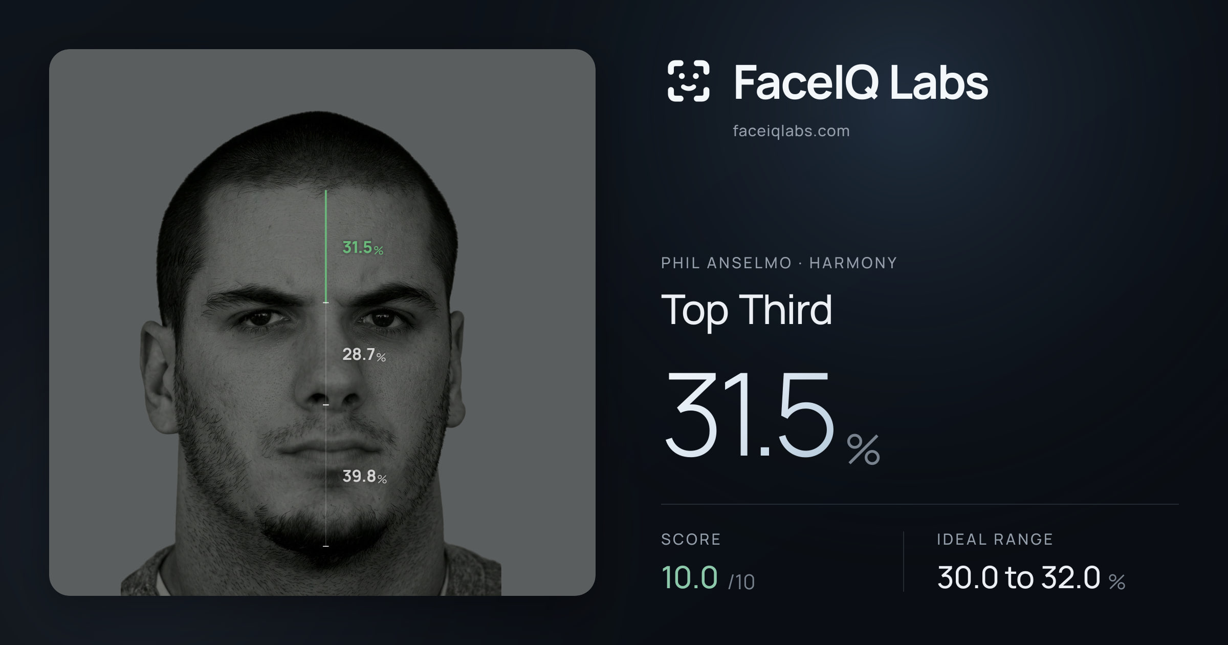 Phil Anselmo Top Third: 31.5%, drawn on the photo